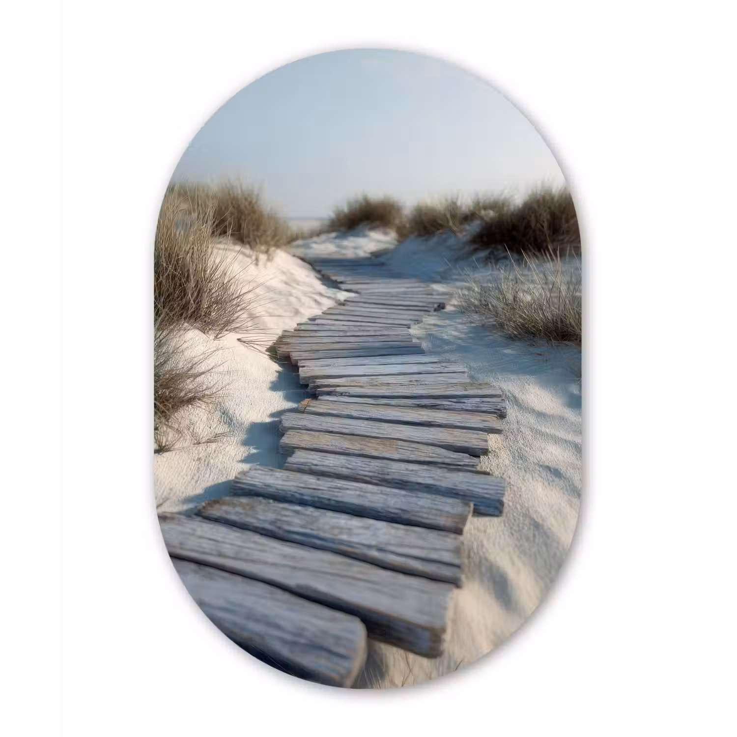 Pad - Planken - Duinen - Gras Wandcirkel Ovaal Glas middel -3d