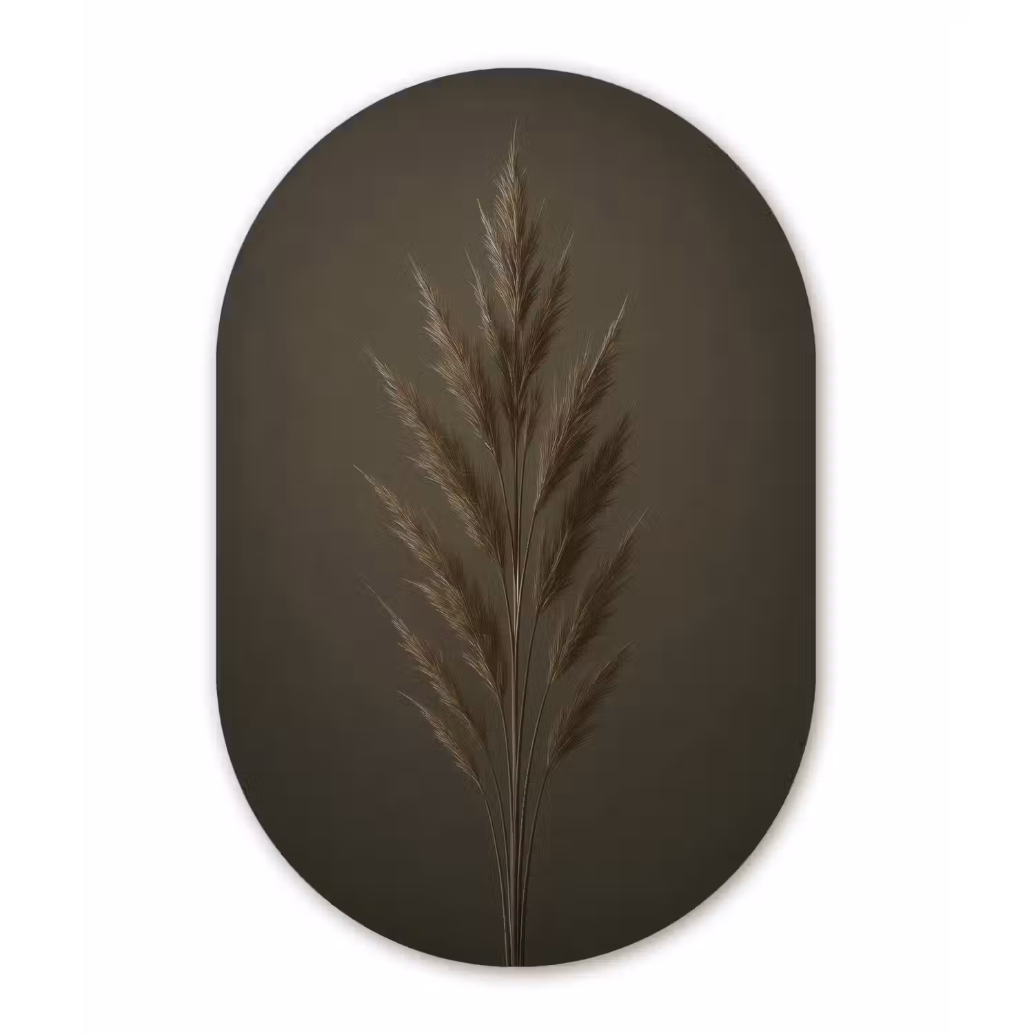 Tak - Pluimgras - Donkerbruin Wandcirkel Ovaal Glas middel -3d