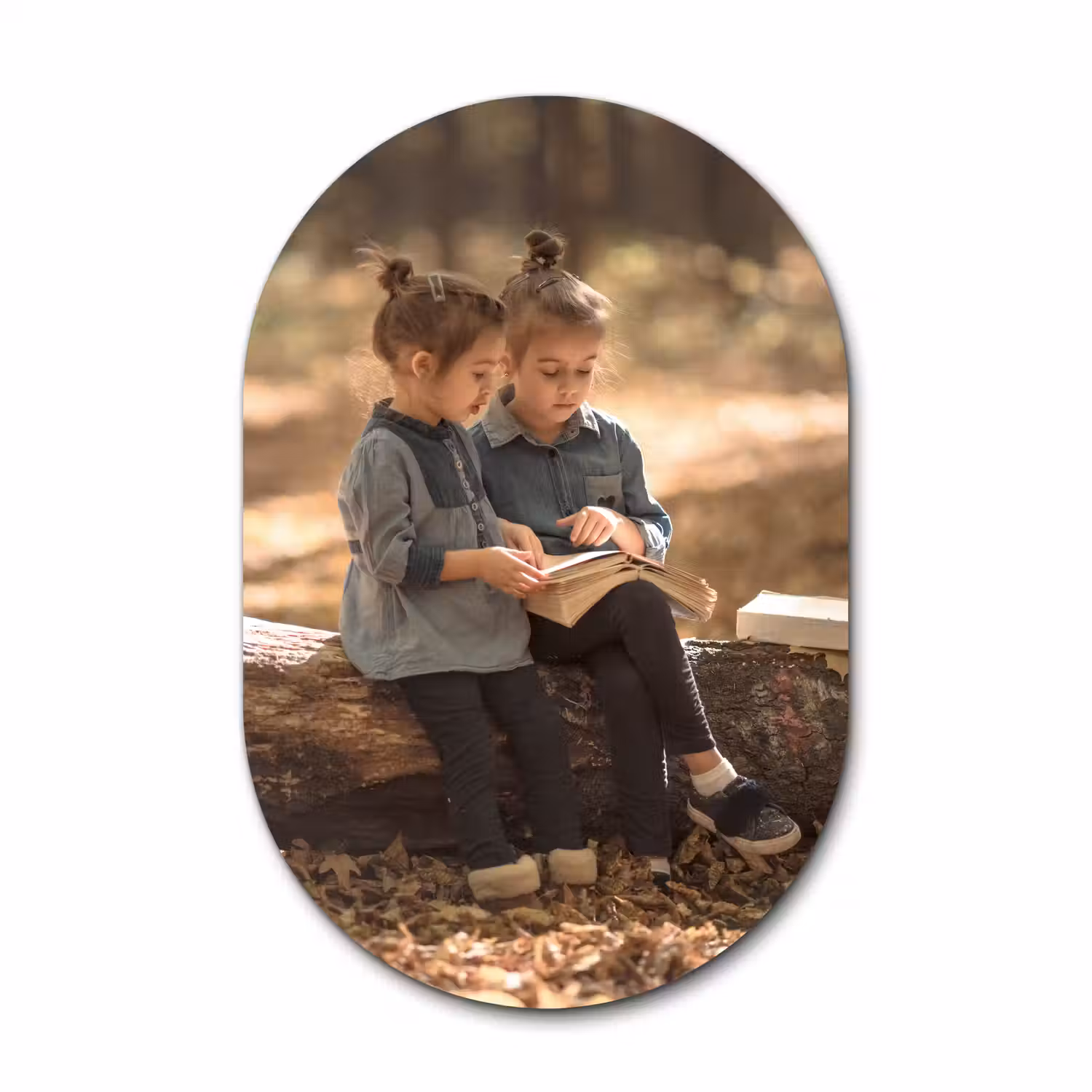 Muurovaal met foto - porductbeeld - Twee meisjes op een boomstam