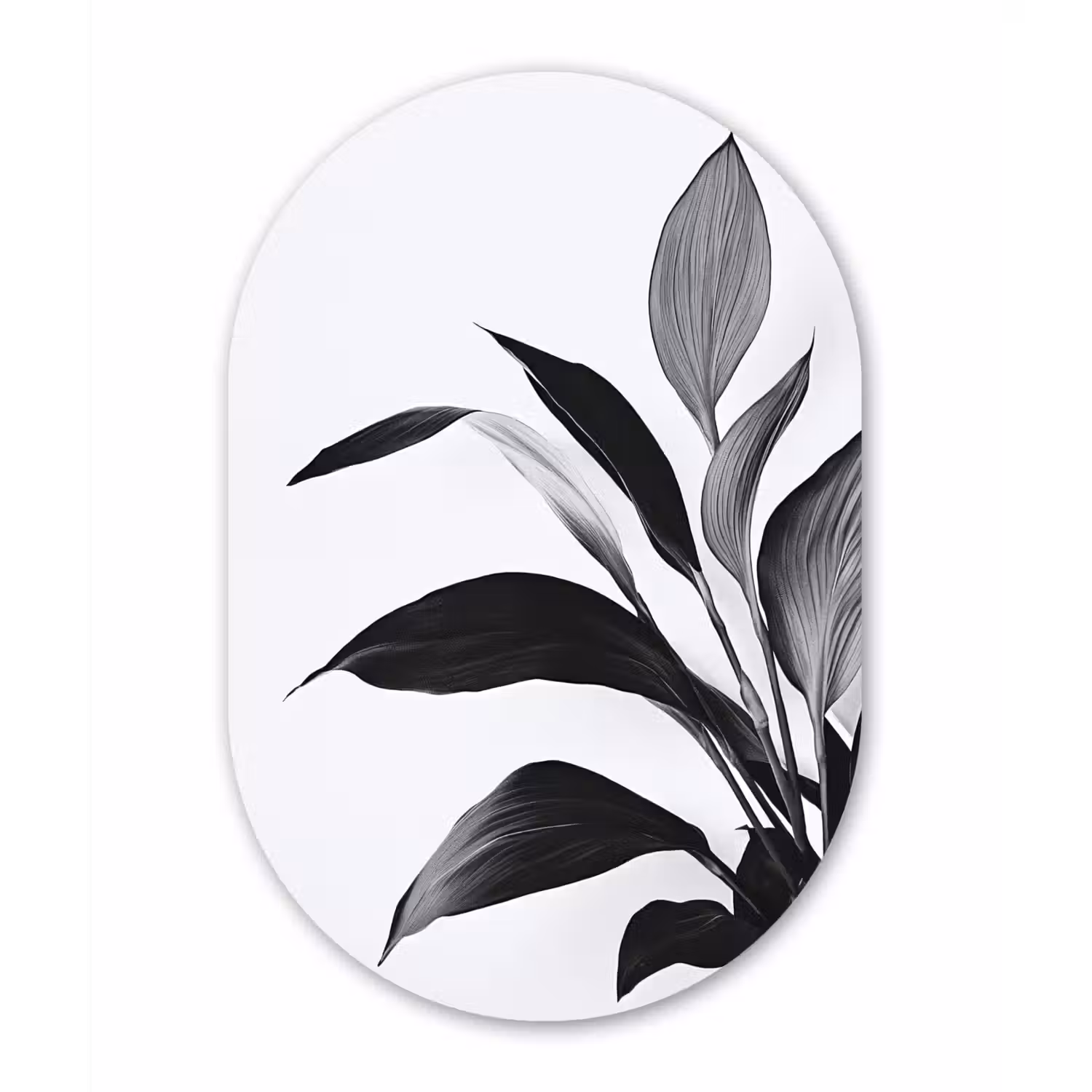 Plant - Bladeren - Minimalistisch - Zwart Wandcirkel Ovaal Forex klein -3d