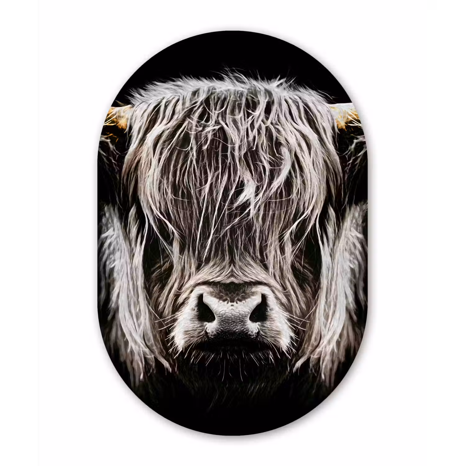 Schotse hooglander - Goud - Hoorns - Zwart wit - Koe - Dieren Wandcirkel Ovaal Forex klein -3d