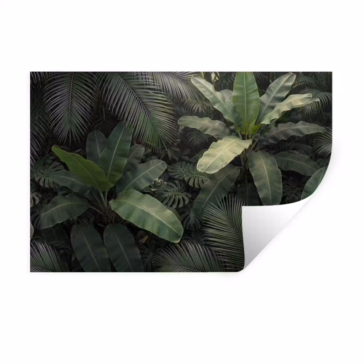 Bladeren - Groen - Tropisch - Natuur Muursticker klein -3d