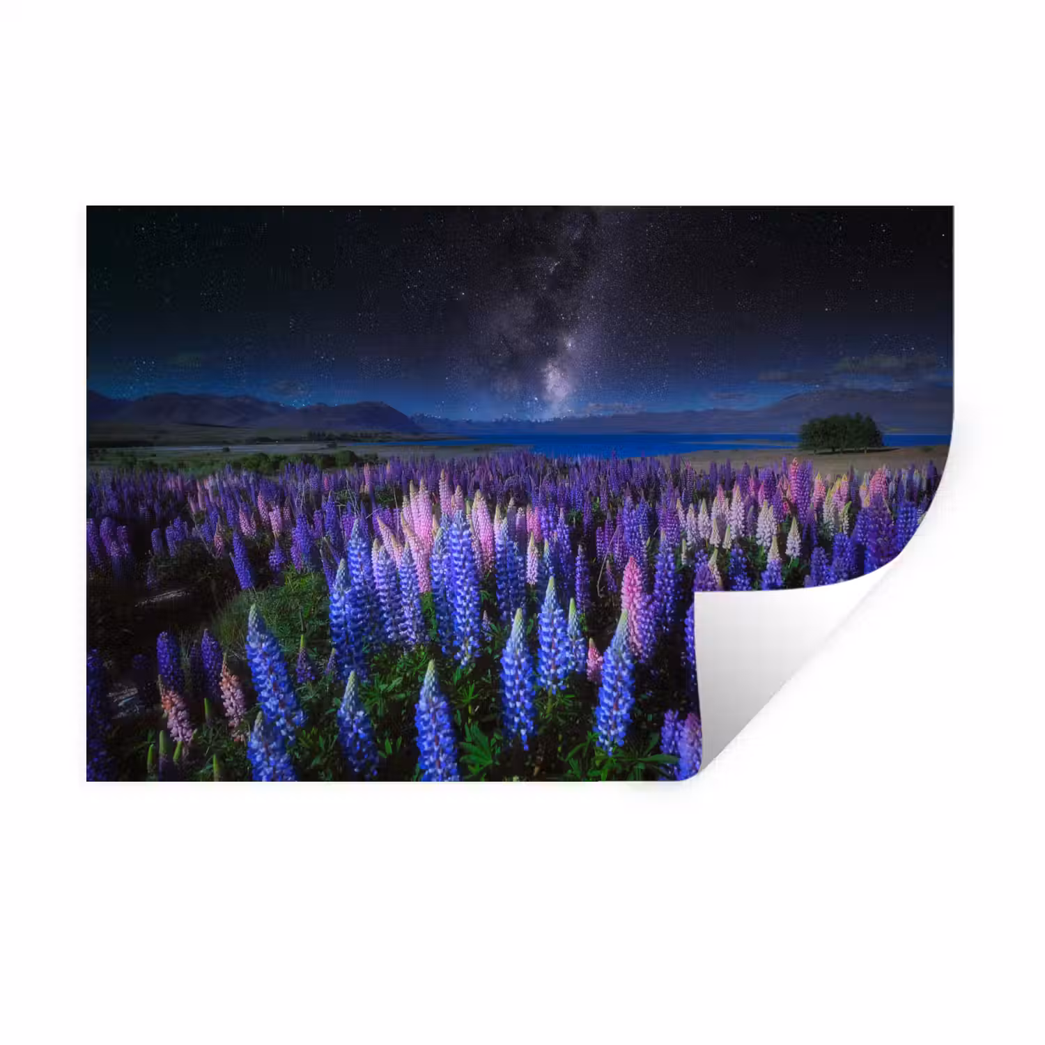 Bloemen - Nacht - Lupine - Sterrenhemel - Paars - Natuur Muursticker klein -3d