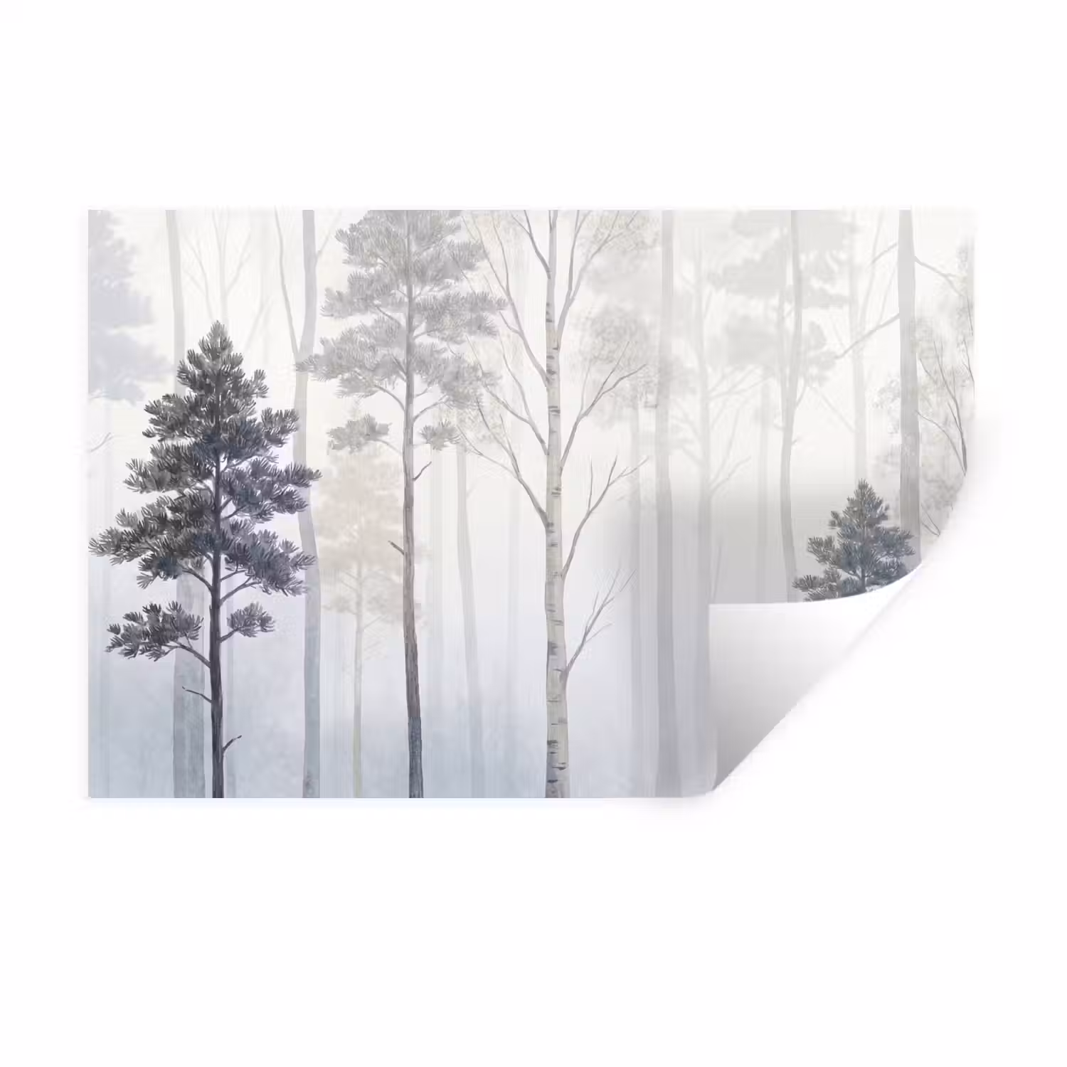 Bos - Bomen - Mist - Natuur - Illustratie - Grijs Muursticker klein -3d