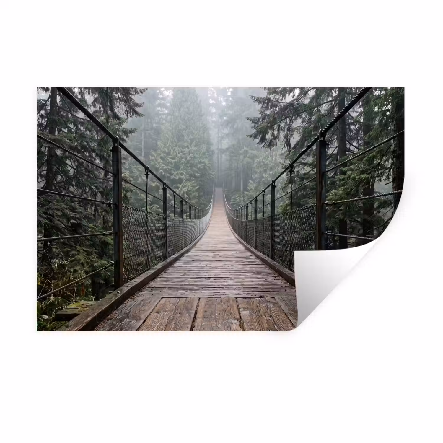 Brug - Bos - Mist - Natuur Muursticker klein -3d
