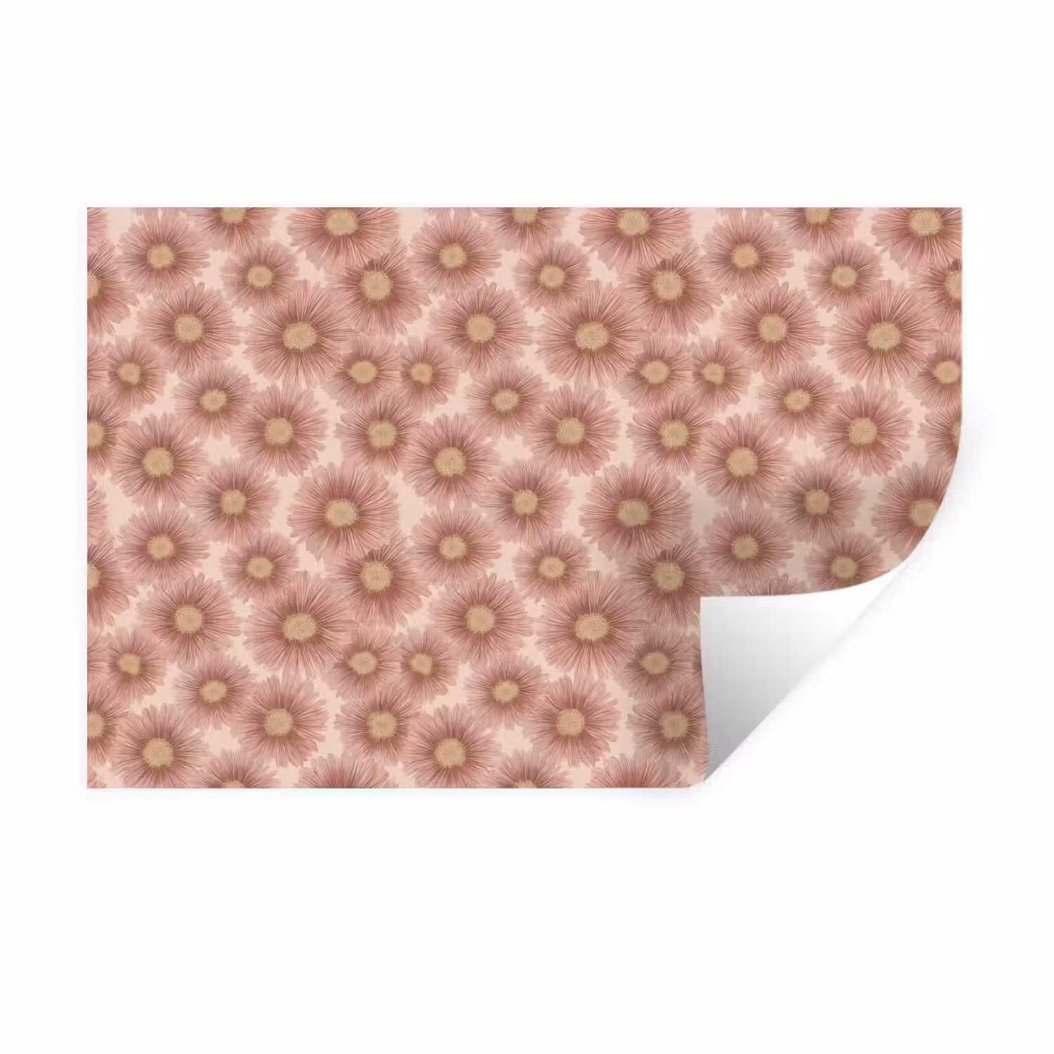Gerbera - Bloemen - Roze Muursticker klein 286 -3d