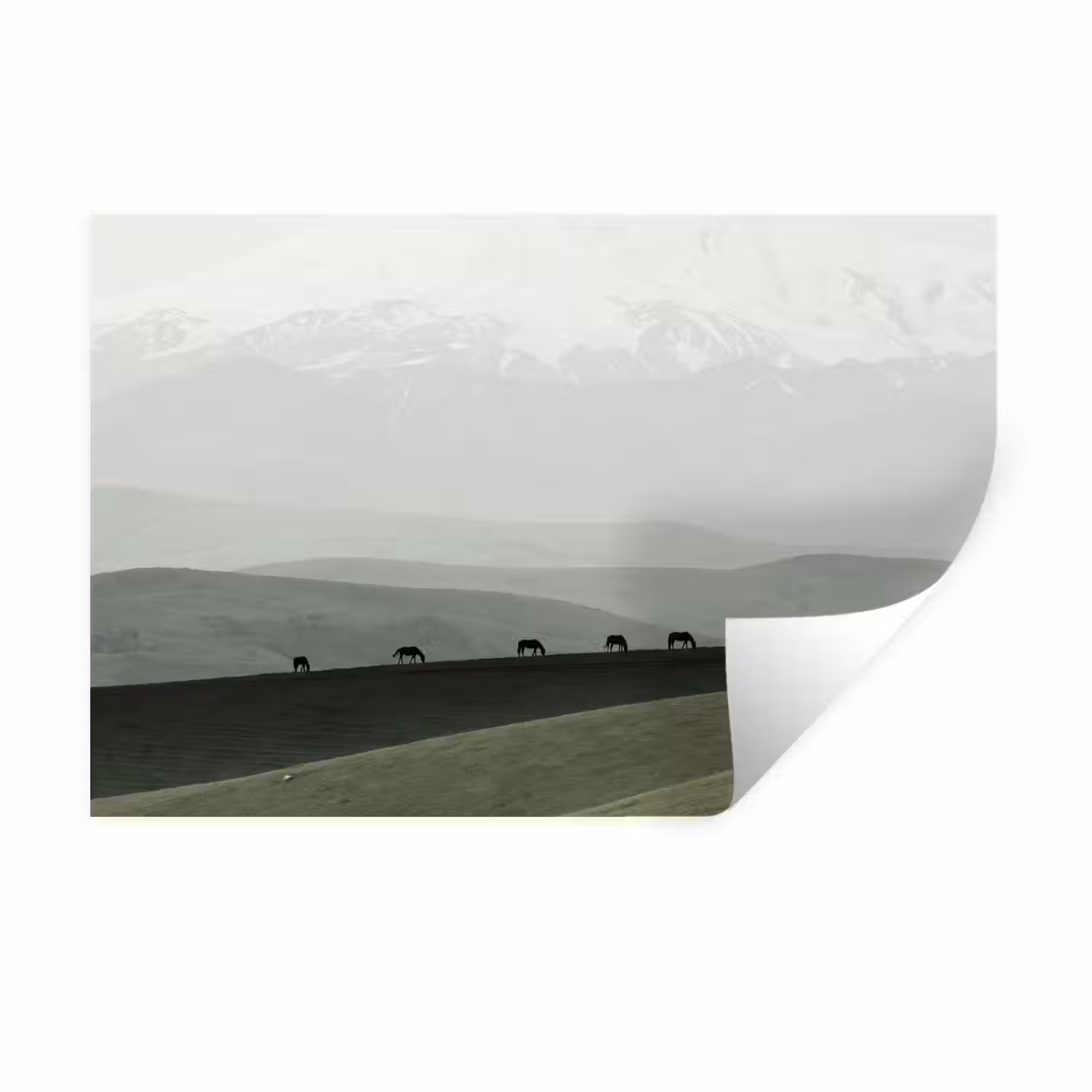 Grijs - Berg - Paarden Muursticker klein -3d