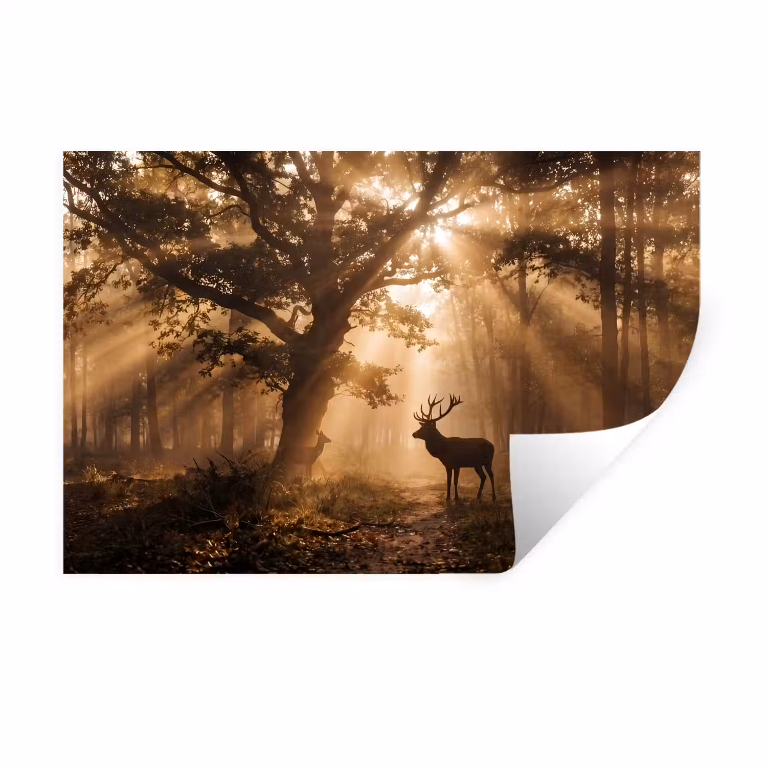 Hert - Bos - Mistig - Natuur - Goud Muursticker klein -3d