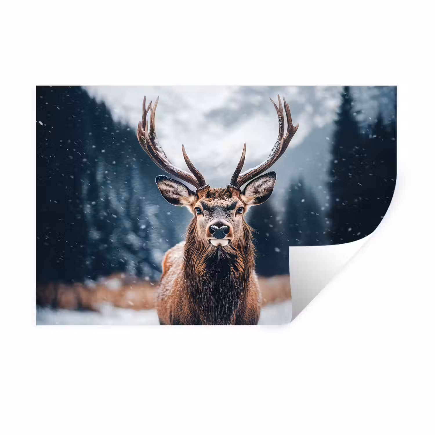 Hert - Dieren - Landschap - Winter - Sneeuw Muursticker klein -3d