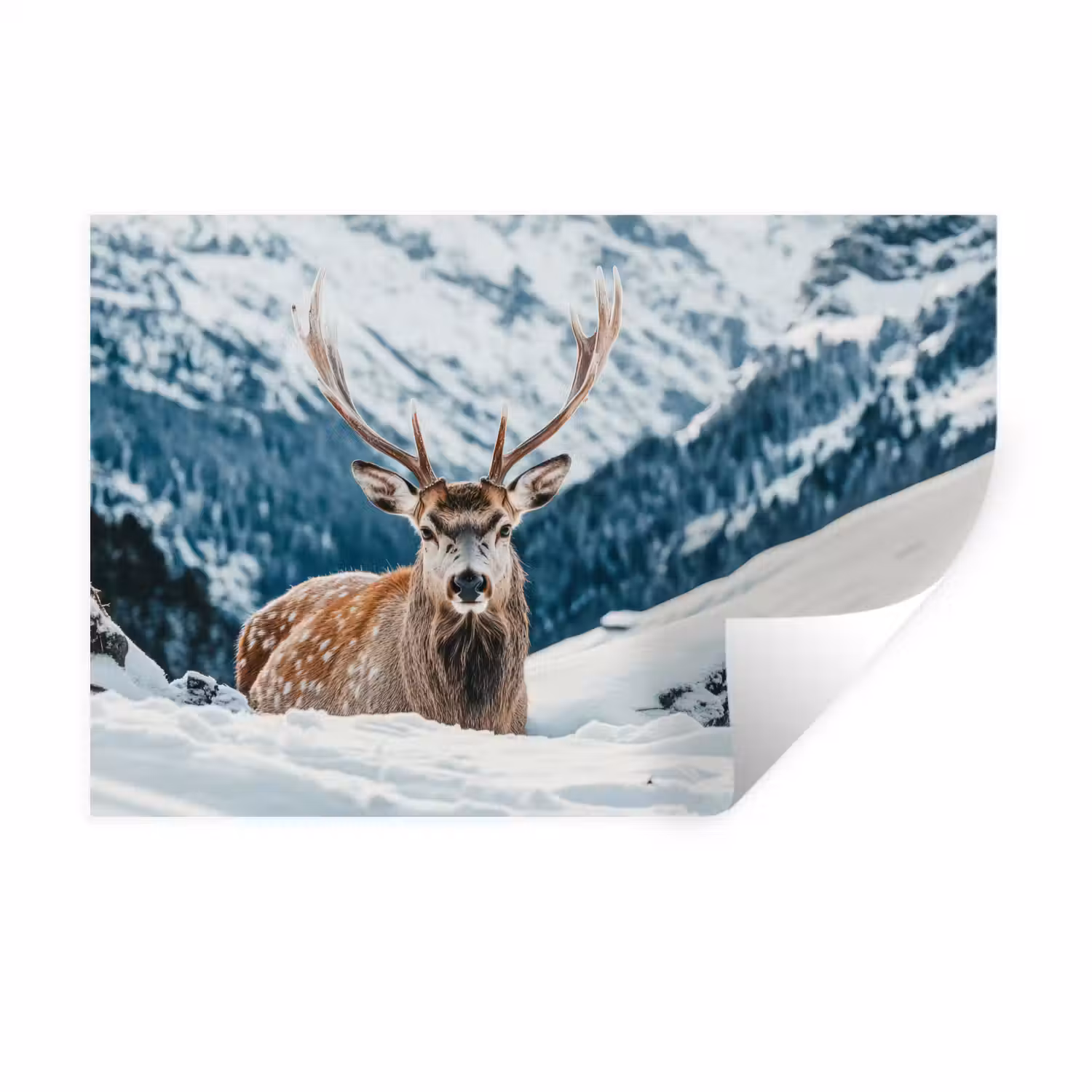 Hert - Landschap - Winter - Natuur - Dieren - Bergen Muursticker klein -3d