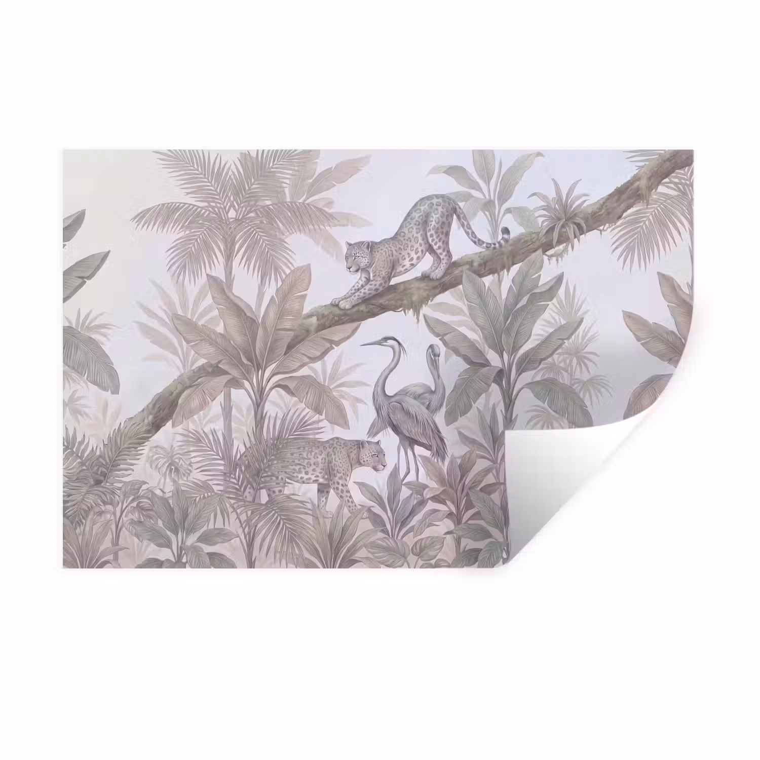 Kat - Vogel - Jungle - Illustratie - Dieren Muursticker klein -3d