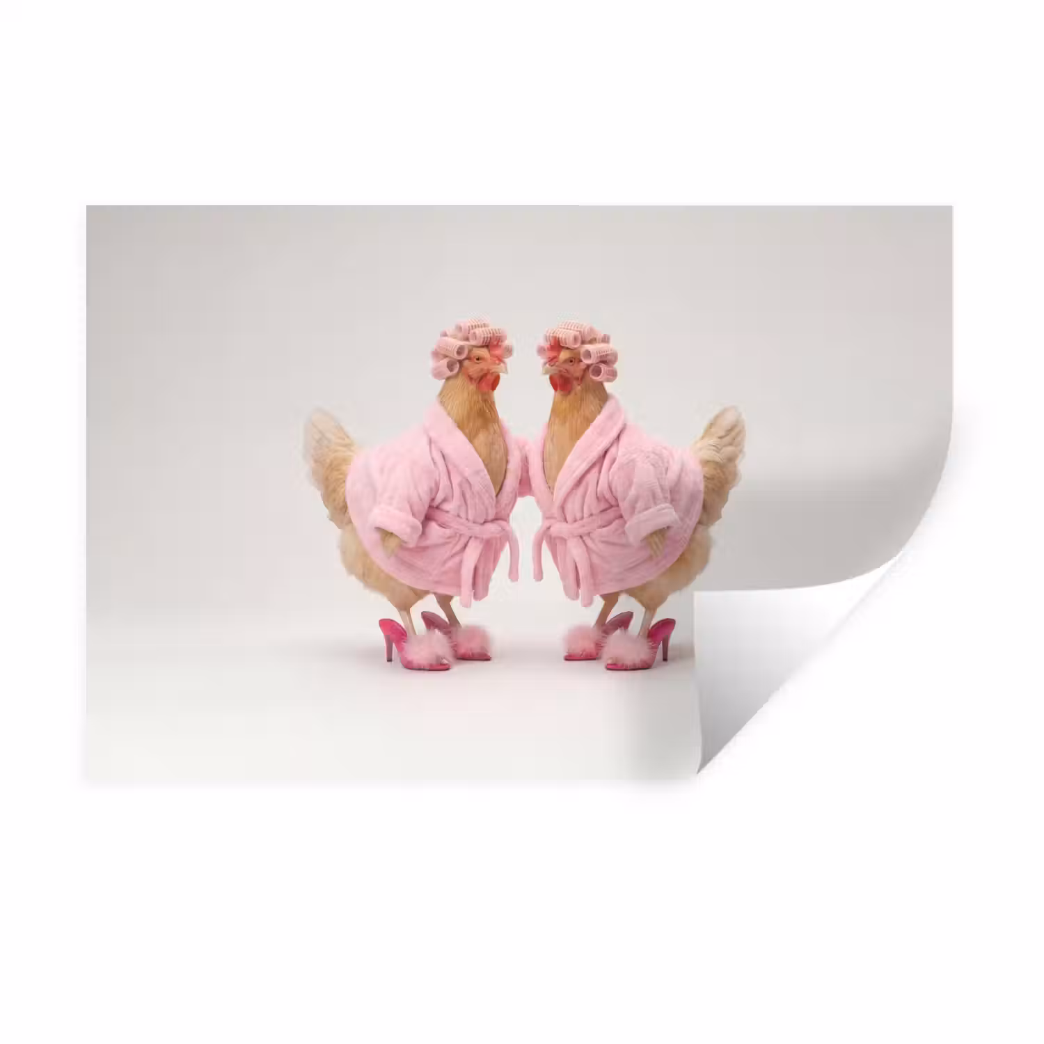 Kippen - Badjas - Krukspelden - Hakken Muursticker klein -3d