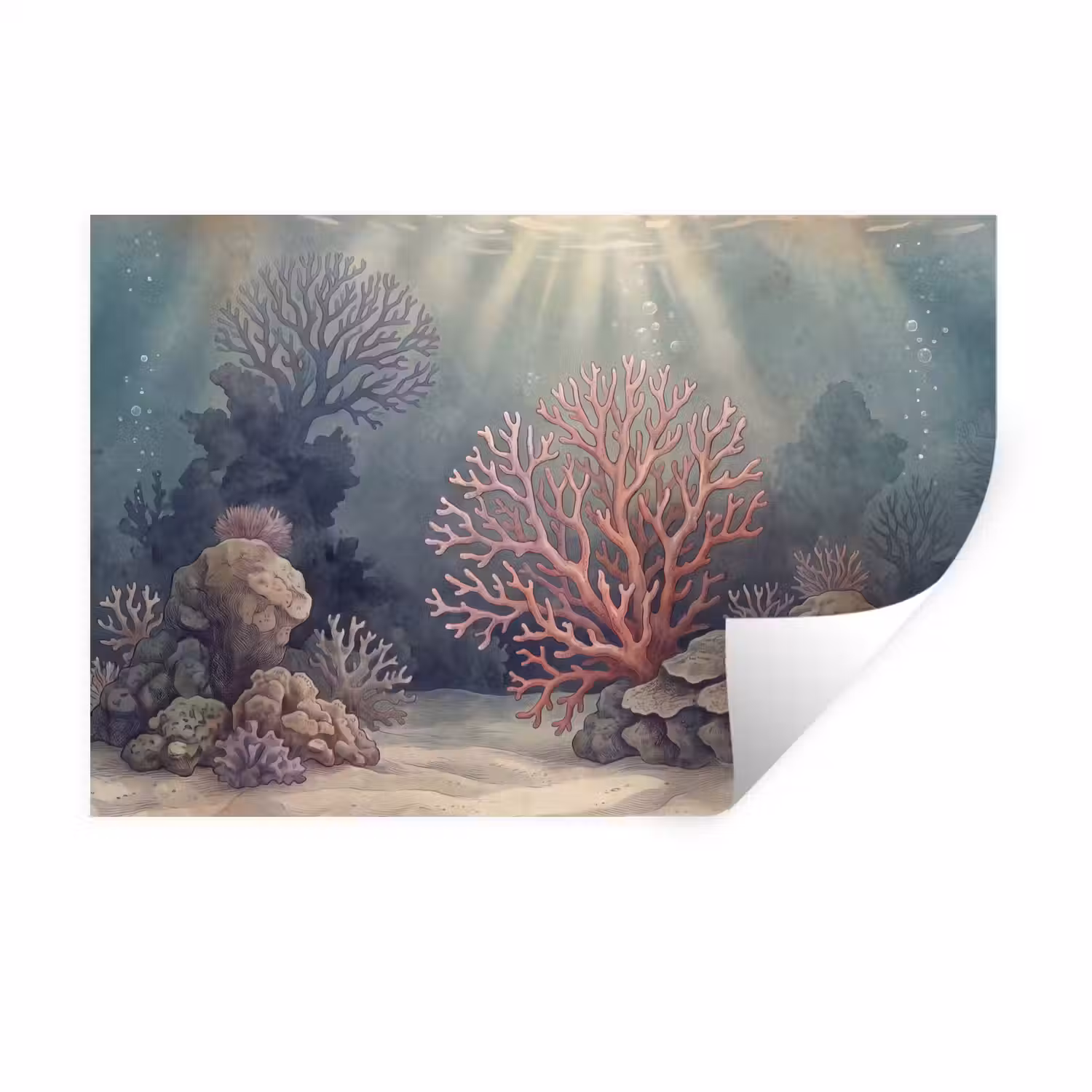 Koraal - Onderwater - Natuur - Roze Muursticker klein -3d