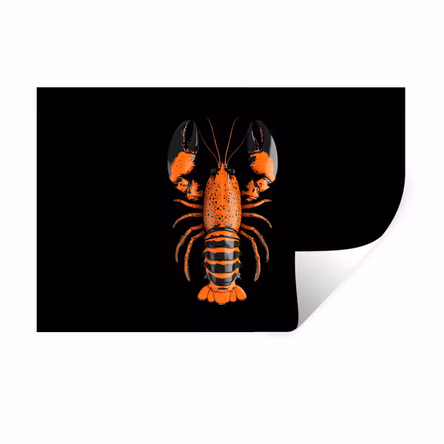 Kreeft - Oranje - Zwart - Modern Muursticker klein -3d