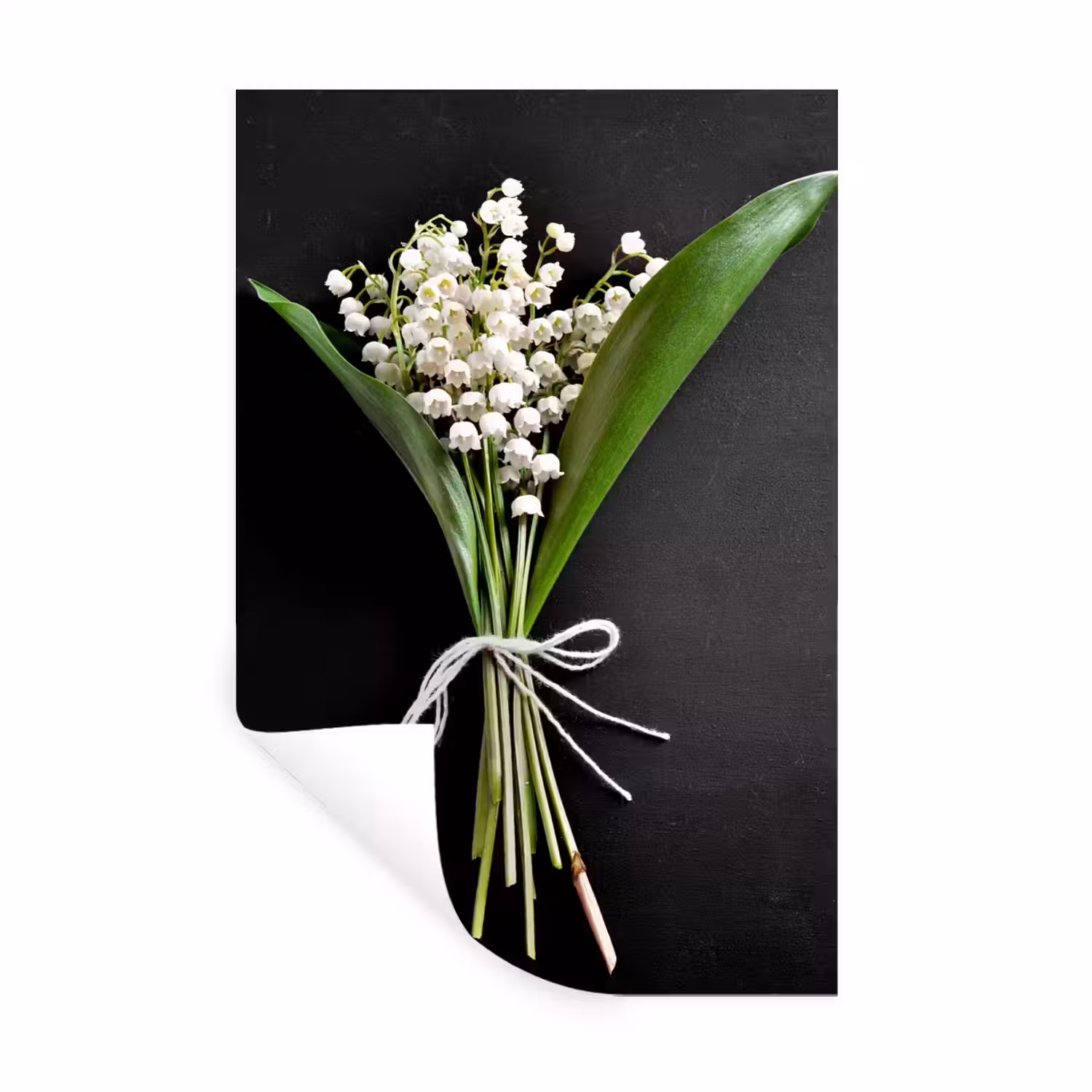 Lelietjes van dalen - Bloemen - Stilleven - Flora Muursticker klein -3d