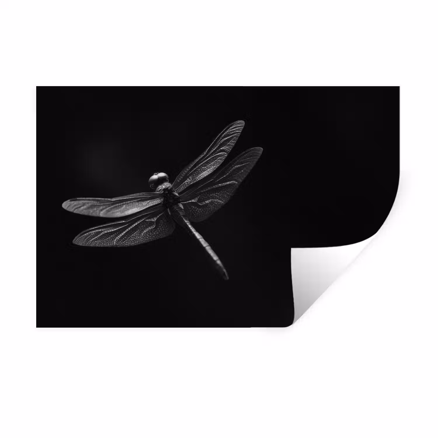 Libelle - Dieren - Zwart - Insect Muursticker klein -3d