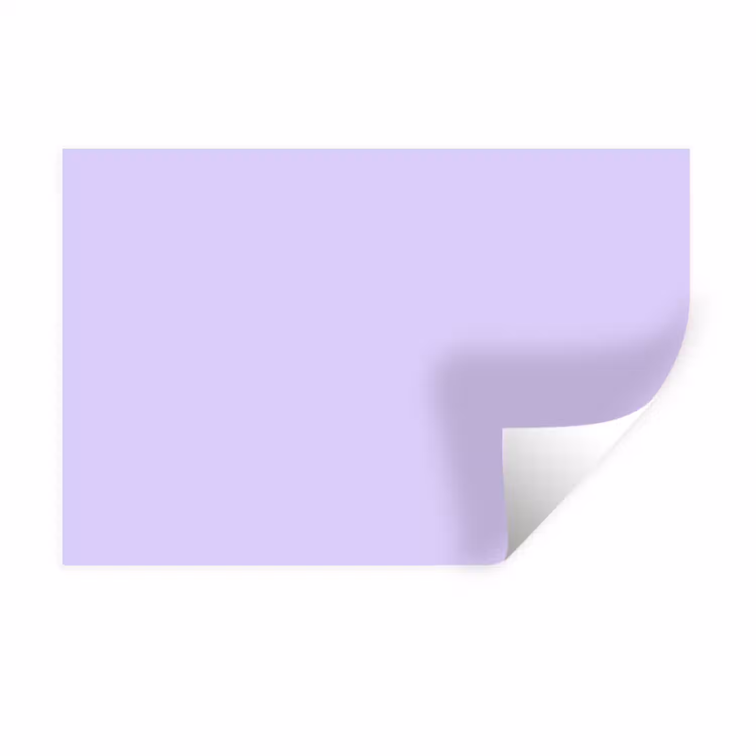 Light - Orchid - Paars Muursticker klein 286 -3d