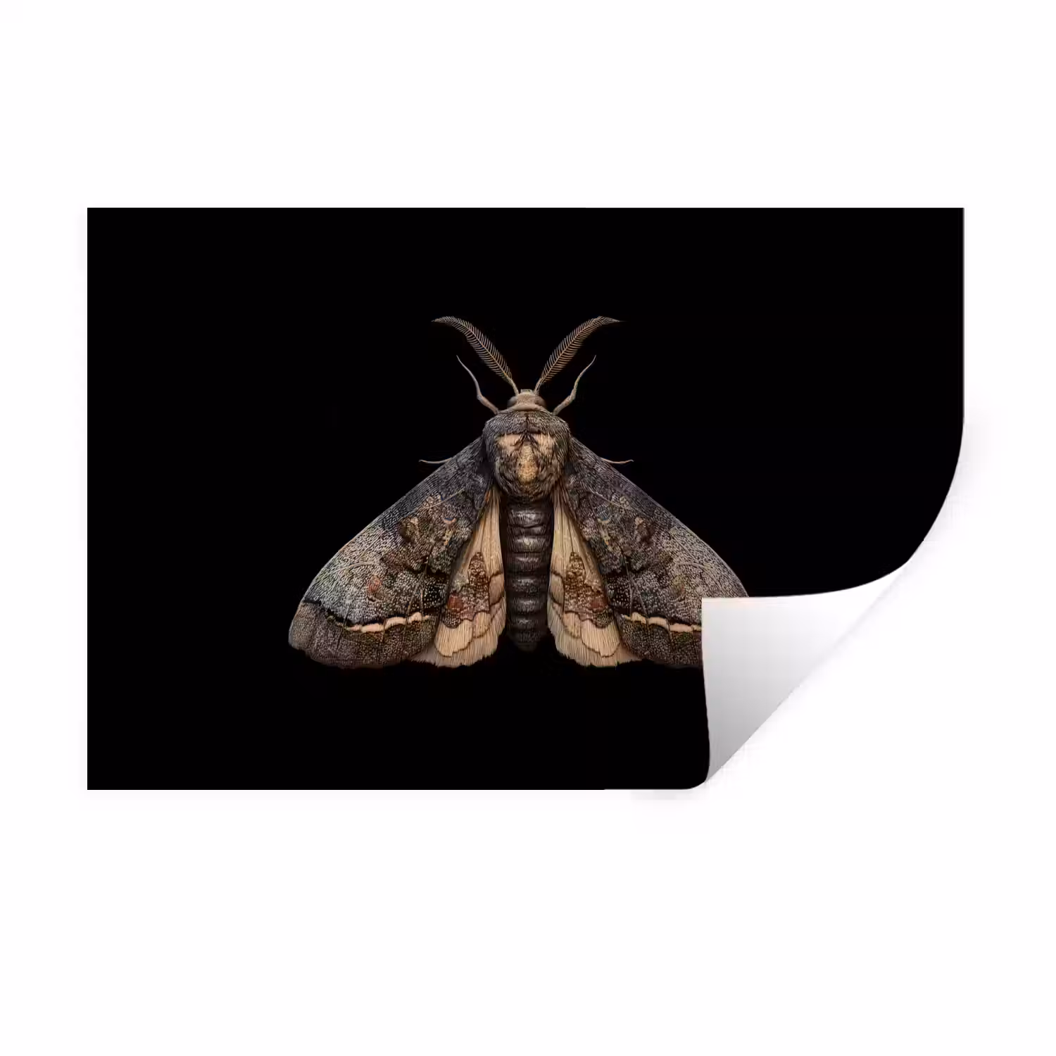 Mot - Bladachtig - Grijs Muursticker klein -3d