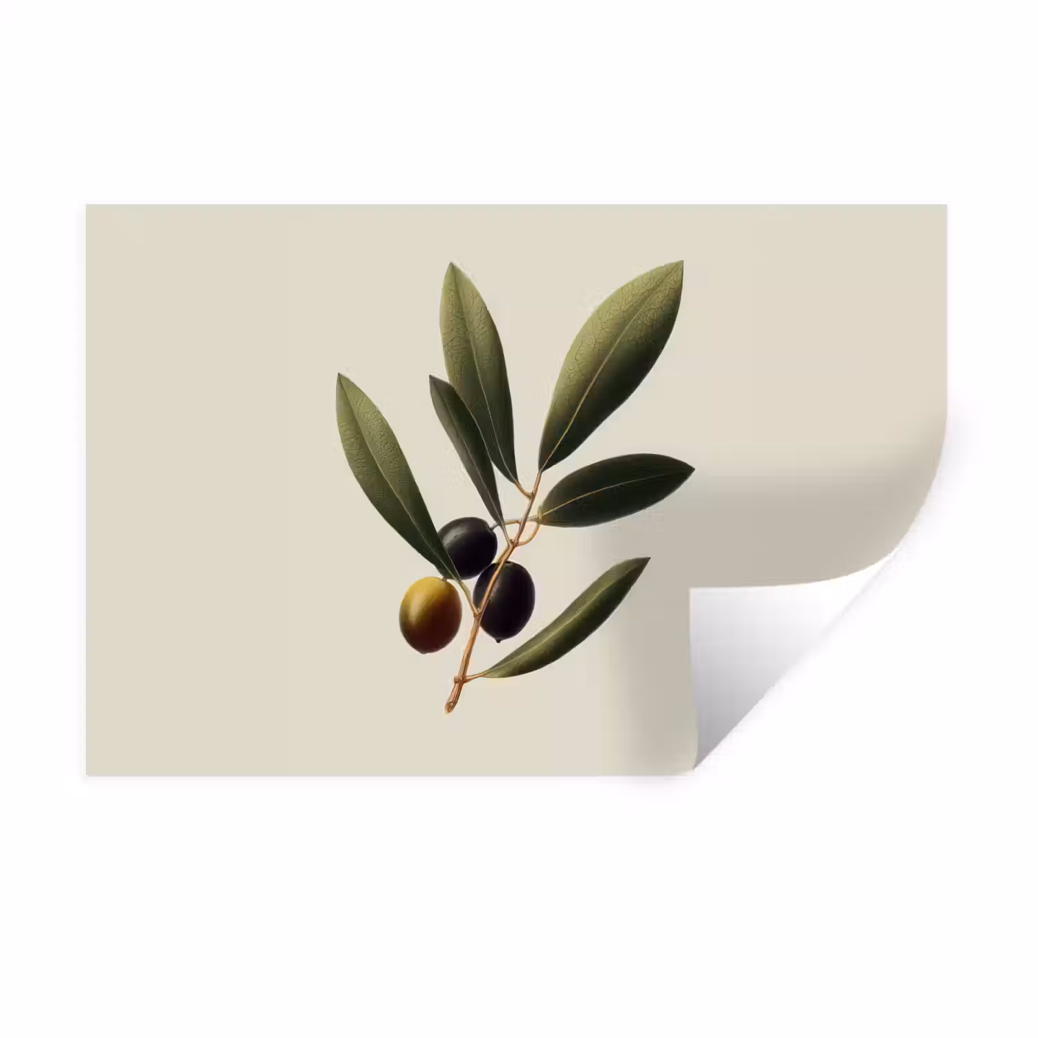 Olijftak - Donkergroen - Olijven Muursticker klein -3d