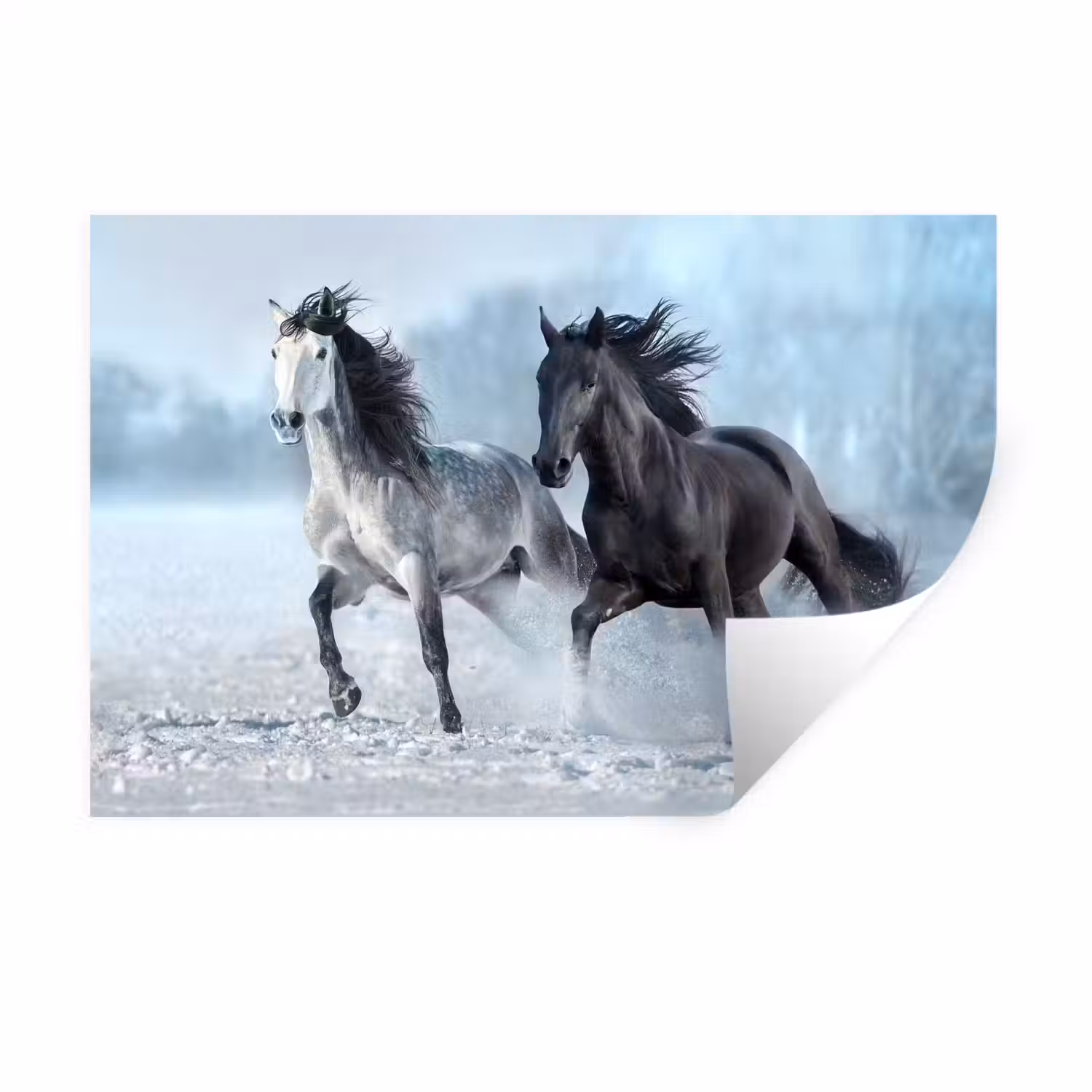 Paarden - Winter - Dieren - Natuur - Sneeuw Muursticker klein -3d