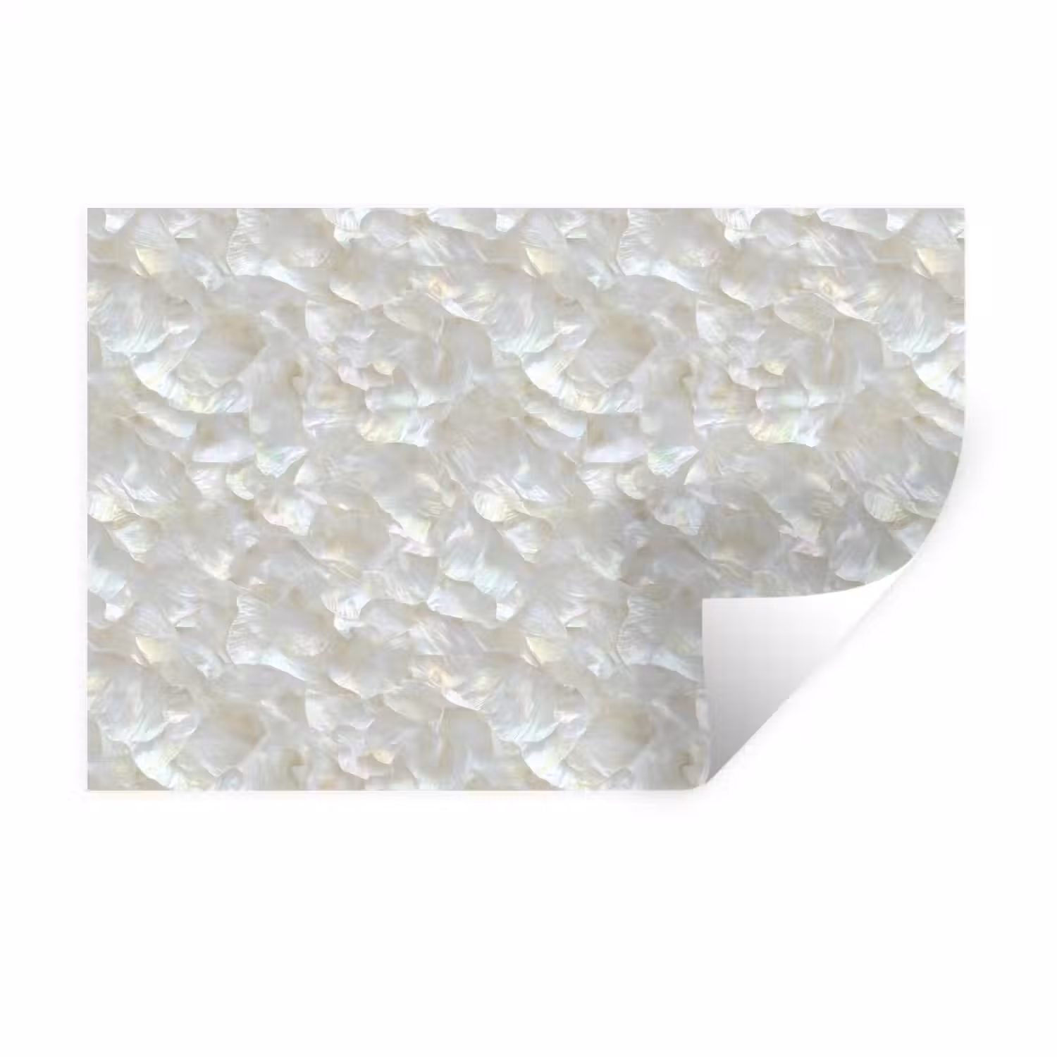 Parelmoerglans - Wit - Schelp Muursticker klein 286 -3d