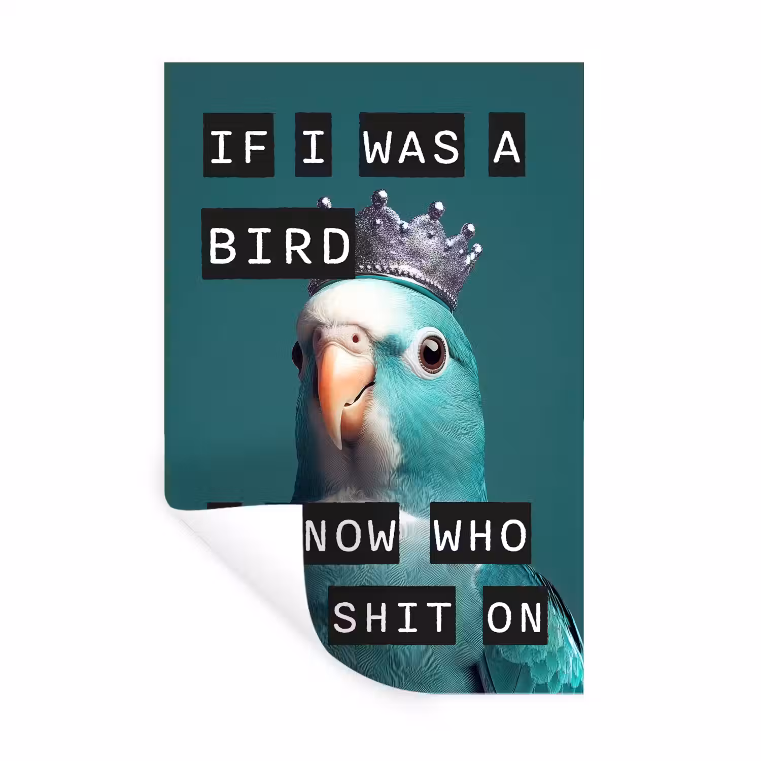 Parkiet - Turquoise - Quotes - Decoratie Muursticker klein -3d