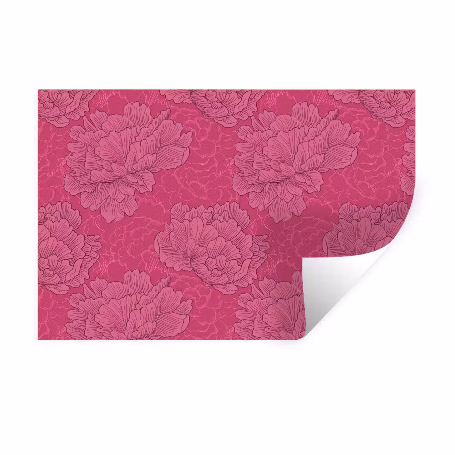 Pioenrozen - Energiek - Roze Muursticker klein 286 -3d