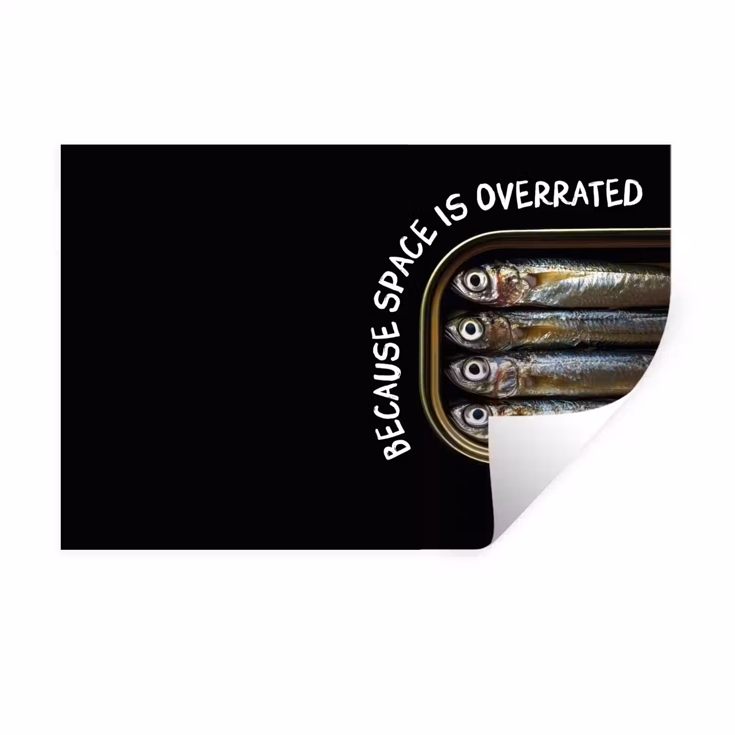 Sardines - Tekst - Vis - Blik Muursticker klein -3d