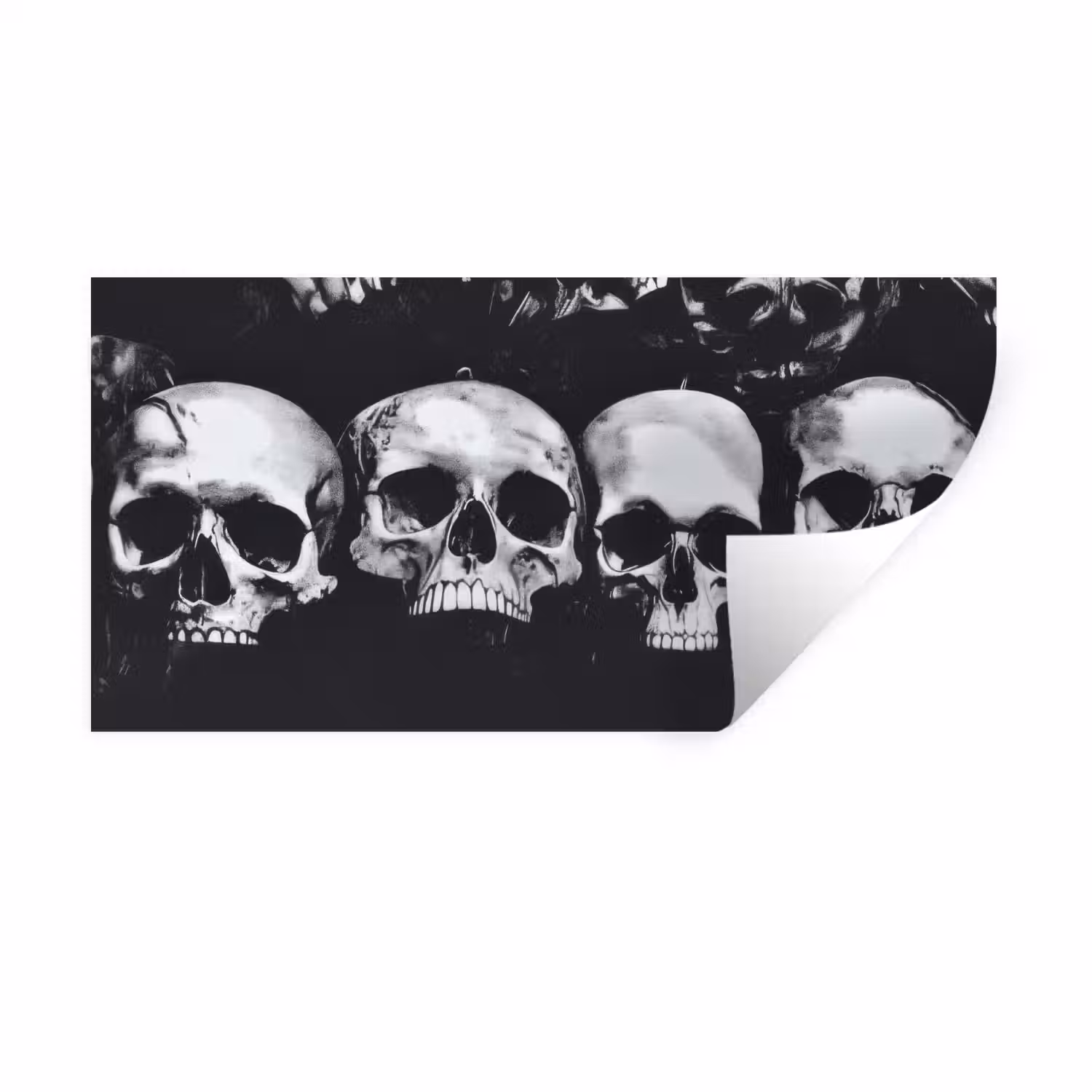 Schedels - Zwart - Contrast Muursticker klein -3d