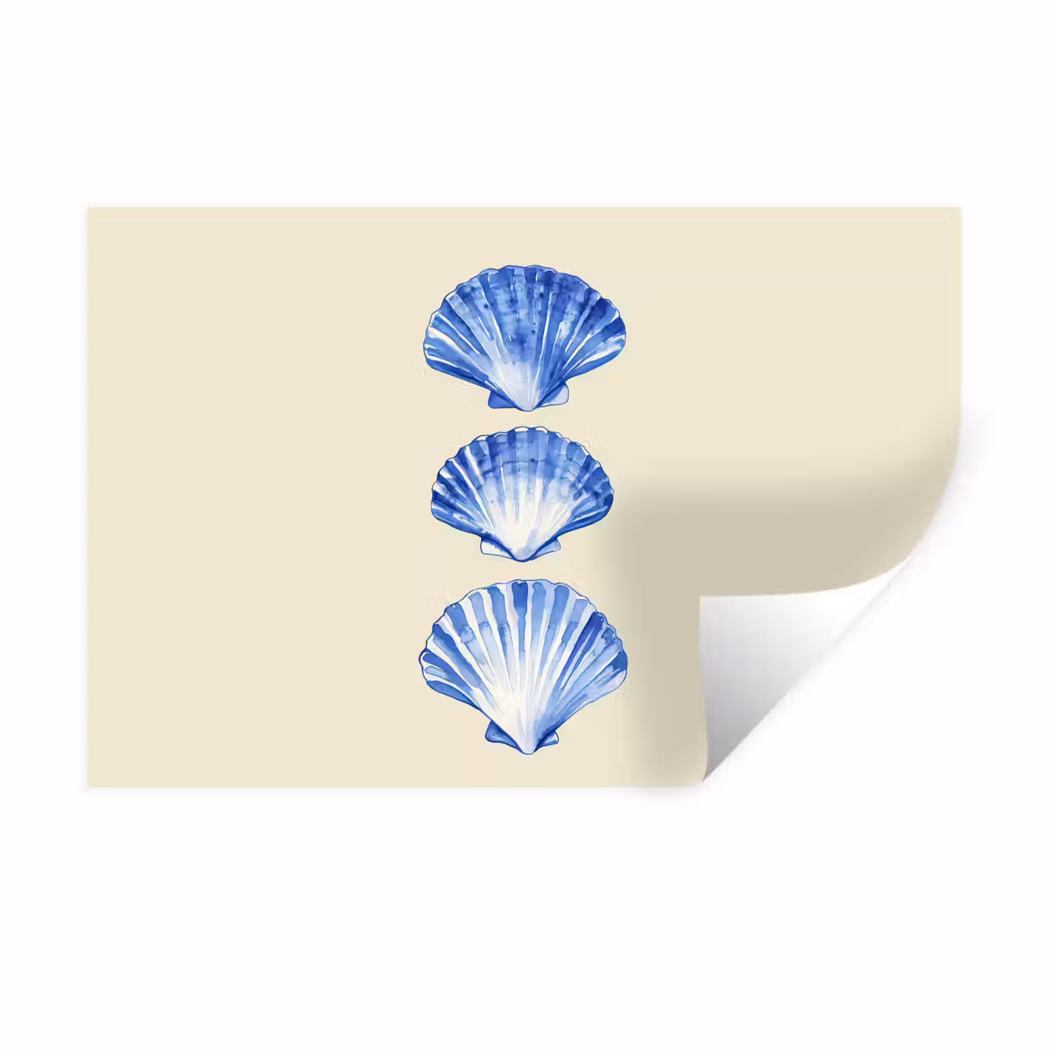 Schelpen - Blauw - Beige Muursticker klein -3d