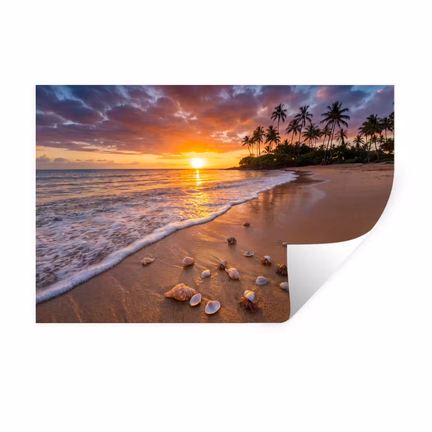 Strand - Zonsondergang - Palmbomen - Natuur - Oranje Muursticker klein -3d