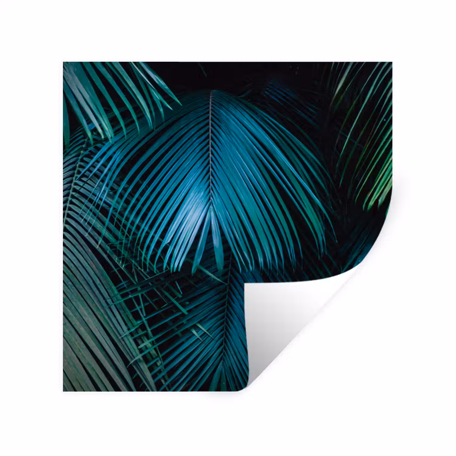 Inductie beschermer - Inductie afdekplaat - Tropical - Jungle - Bladeren - Groen Muursticker klein -3d