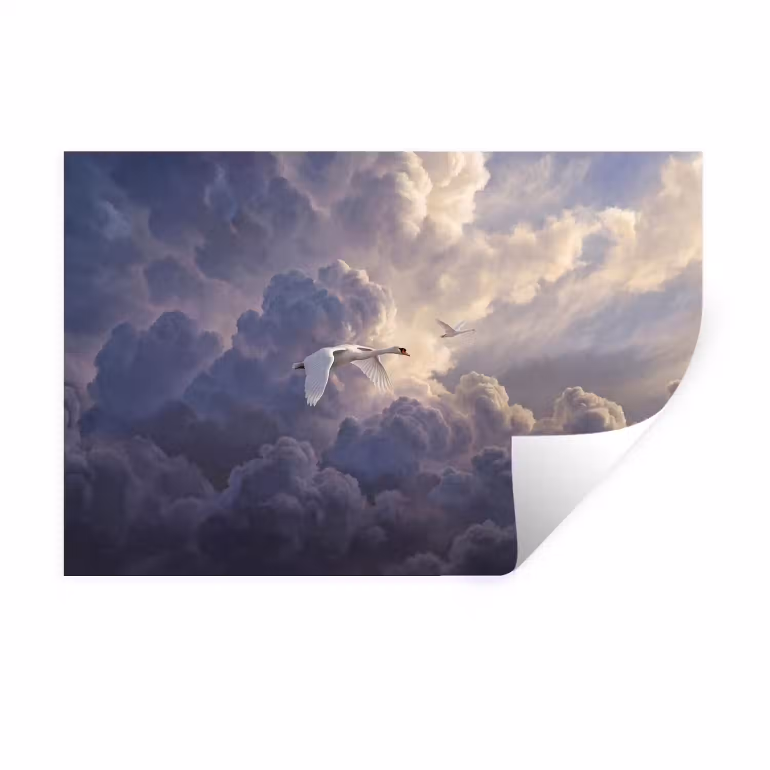 Vogel - Vliegend - Natuur - Wit - Wolken Muursticker klein -3d