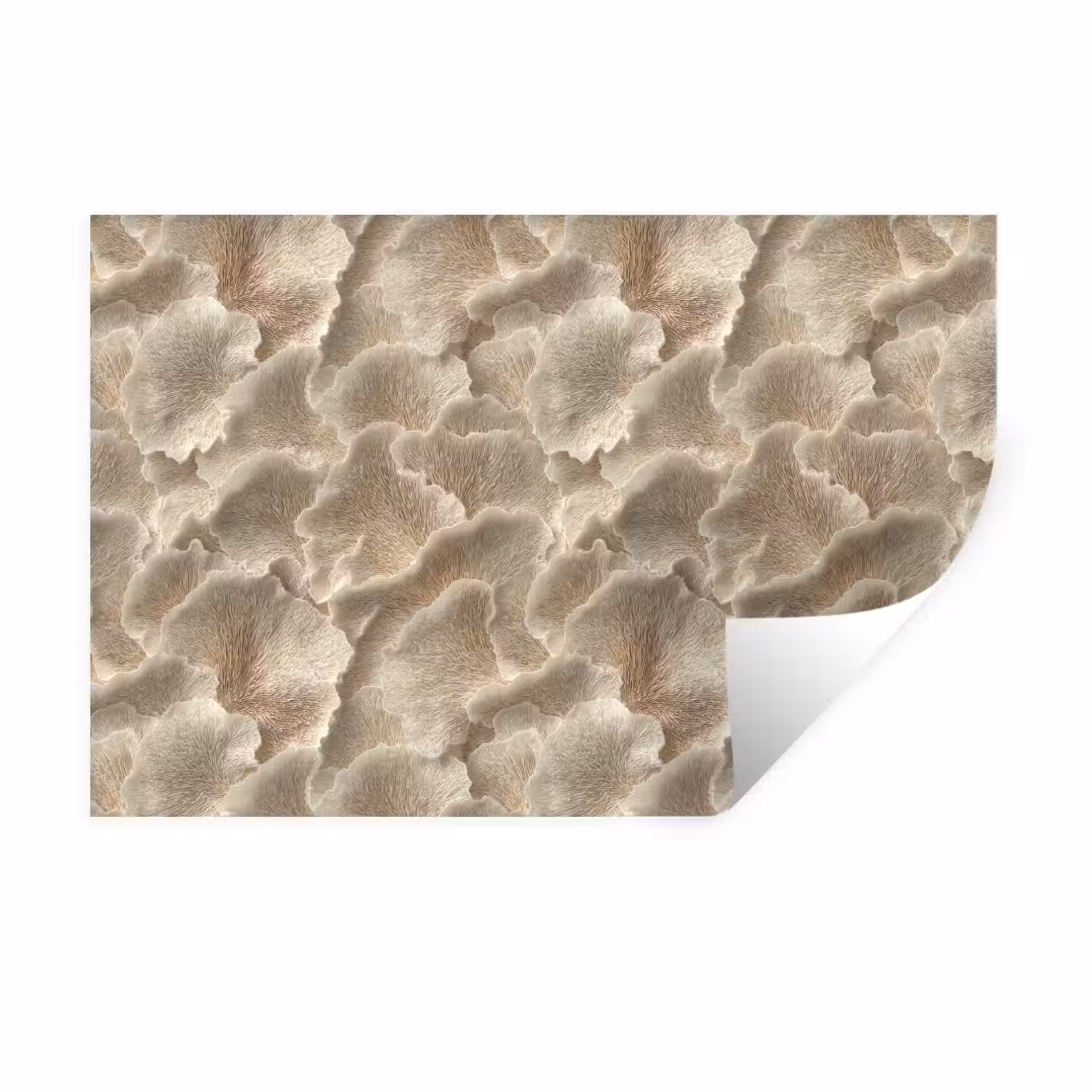 Waaierstructuren - Beige - Vezeltextuur Muursticker klein 286 -3d