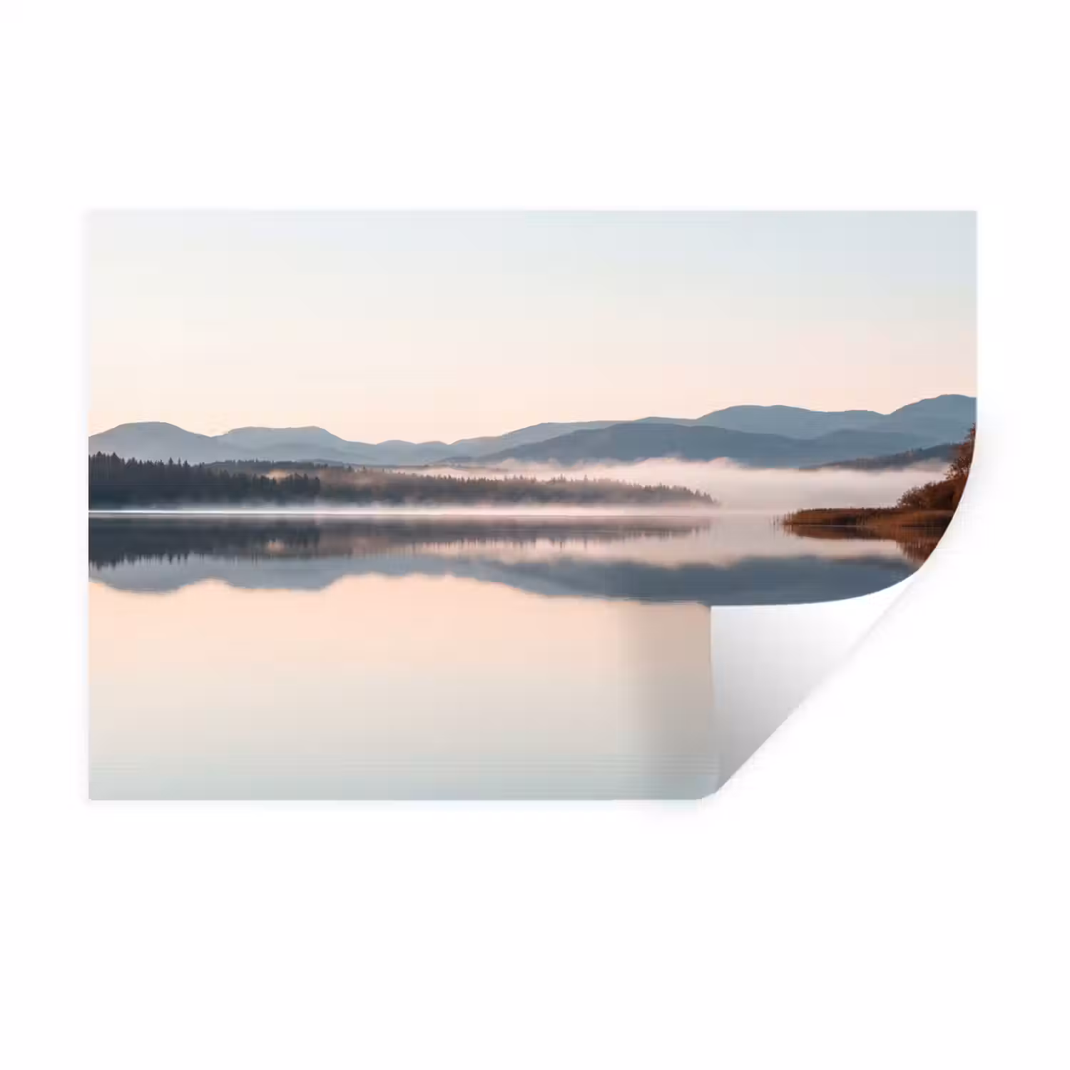 Water - Bomen - Mistlaag Muursticker klein -3d