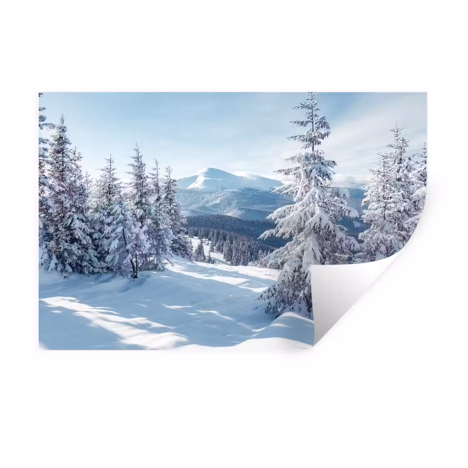 Winterlandschap - Natuur - Berg - Bomen - Sneeuw Muursticker klein -3d