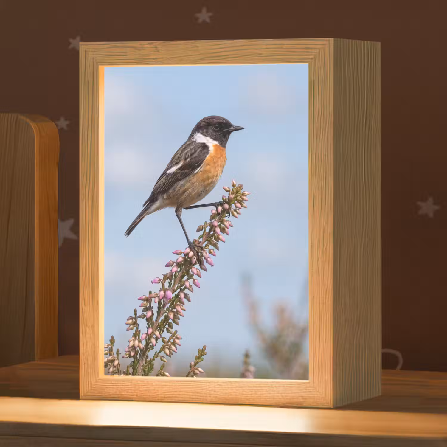 Roodborsttapuit - Heide - Paars - Natuur - Sfeervol Light Box met kabel (Kinderlampje) klein -zzz_3d_website