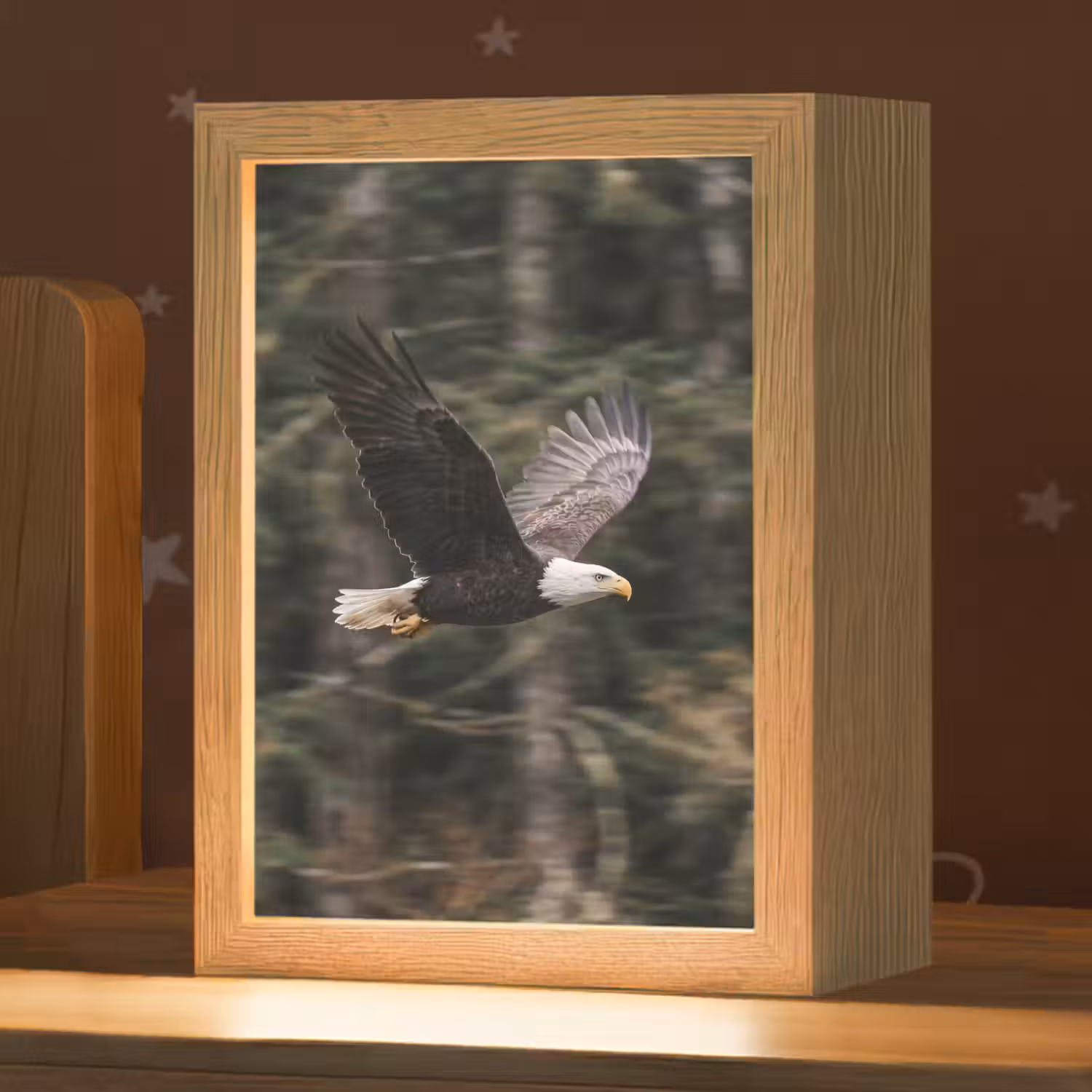 Zeearend - Vliegen - Bos - Natuur Light Box met kabel (Kinderlampje) klein -zzz_3d_website