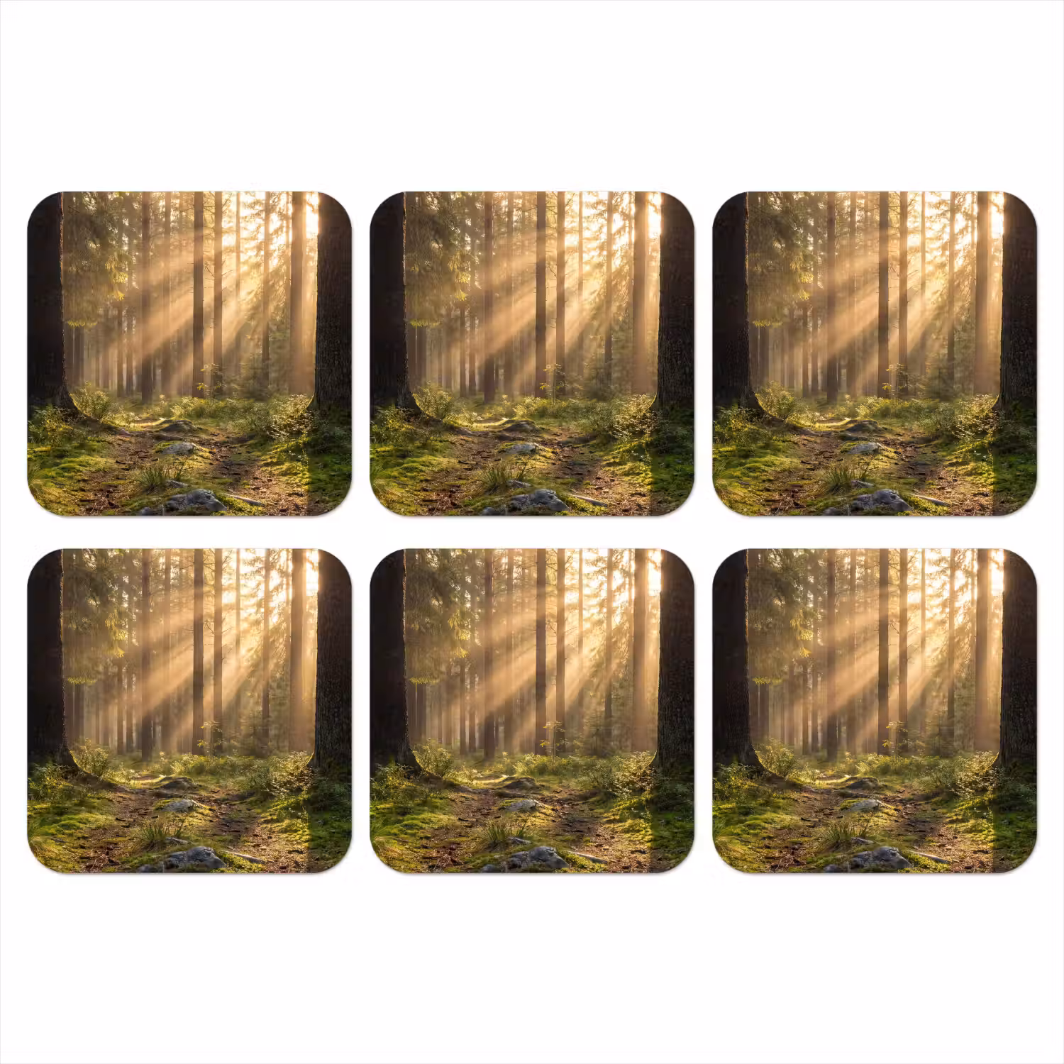 Bos - Zonlicht - Gras onderzetter kurk middel -3d