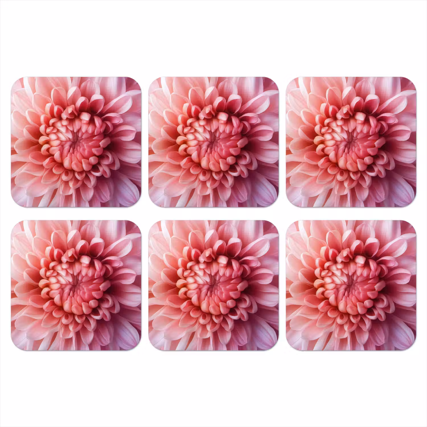 Dahlia - Bloem - Close up - Roze onderzetter kurk middel -3d