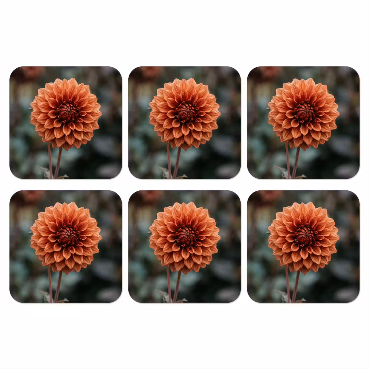 Dahlia - Bloem - Natuur - Sfeervol onderzetter kurk middel -3d
