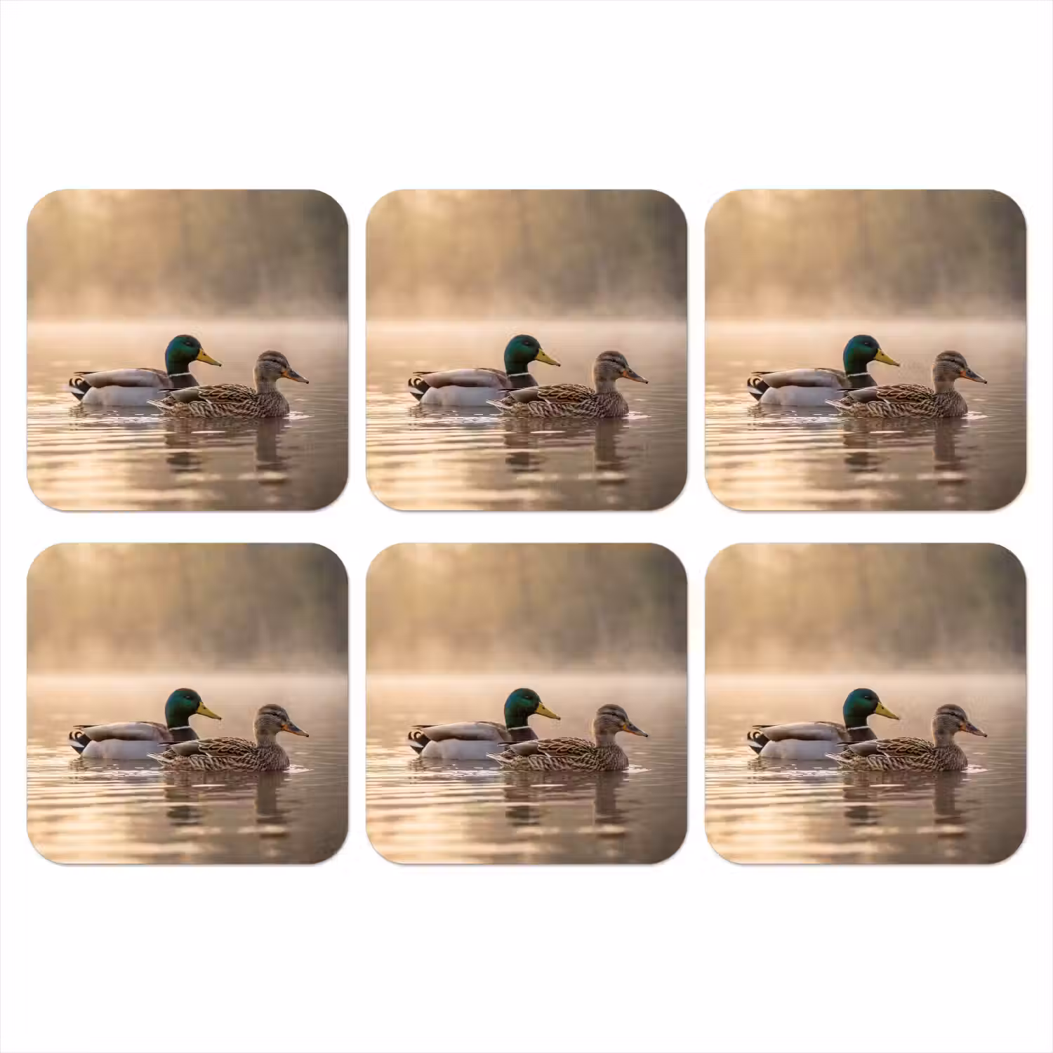 Eenden - Water - Mist - Natuur onderzetter kurk middel -3d