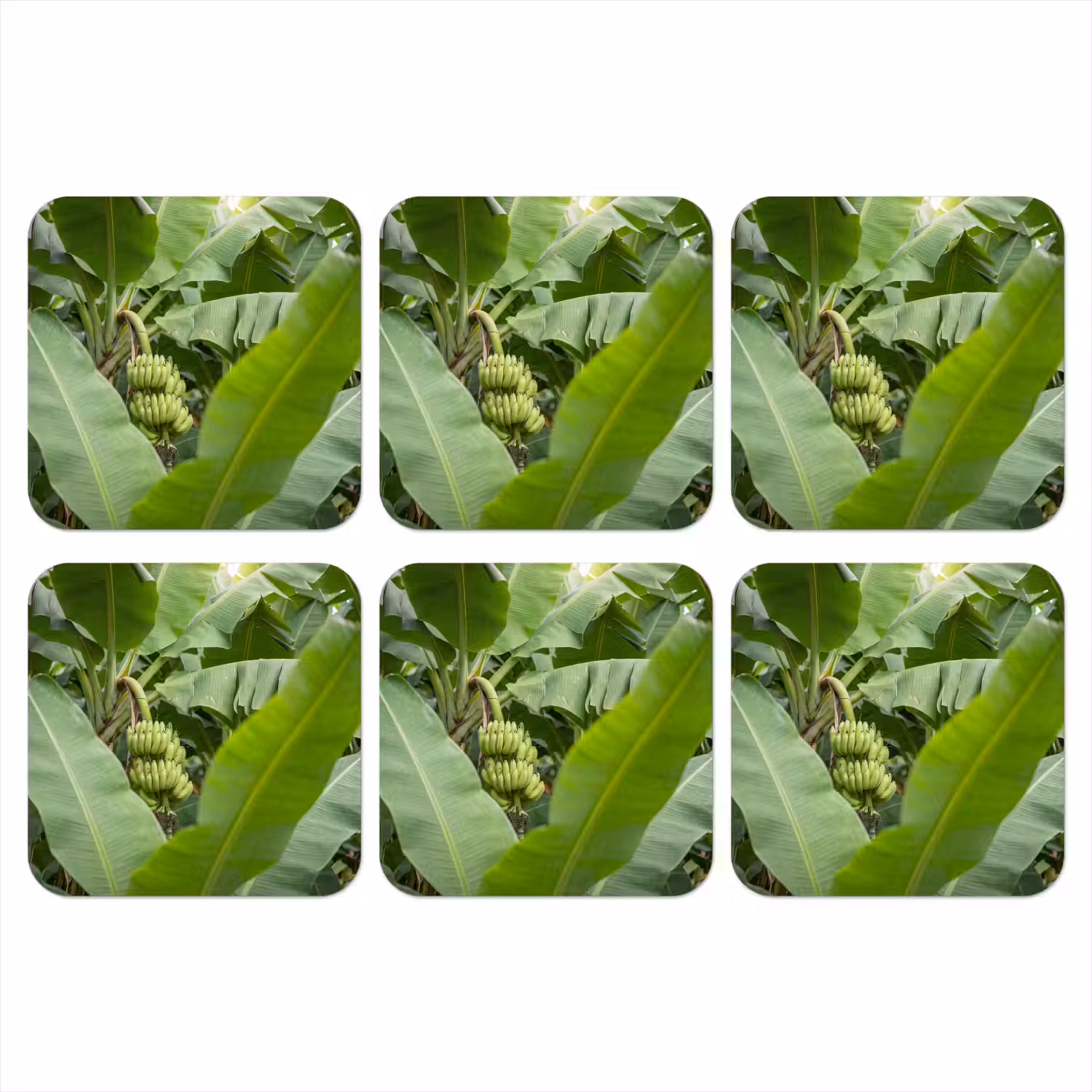 Eten - Bananen - Plantage - Groen onderzetter kurk middel -3d