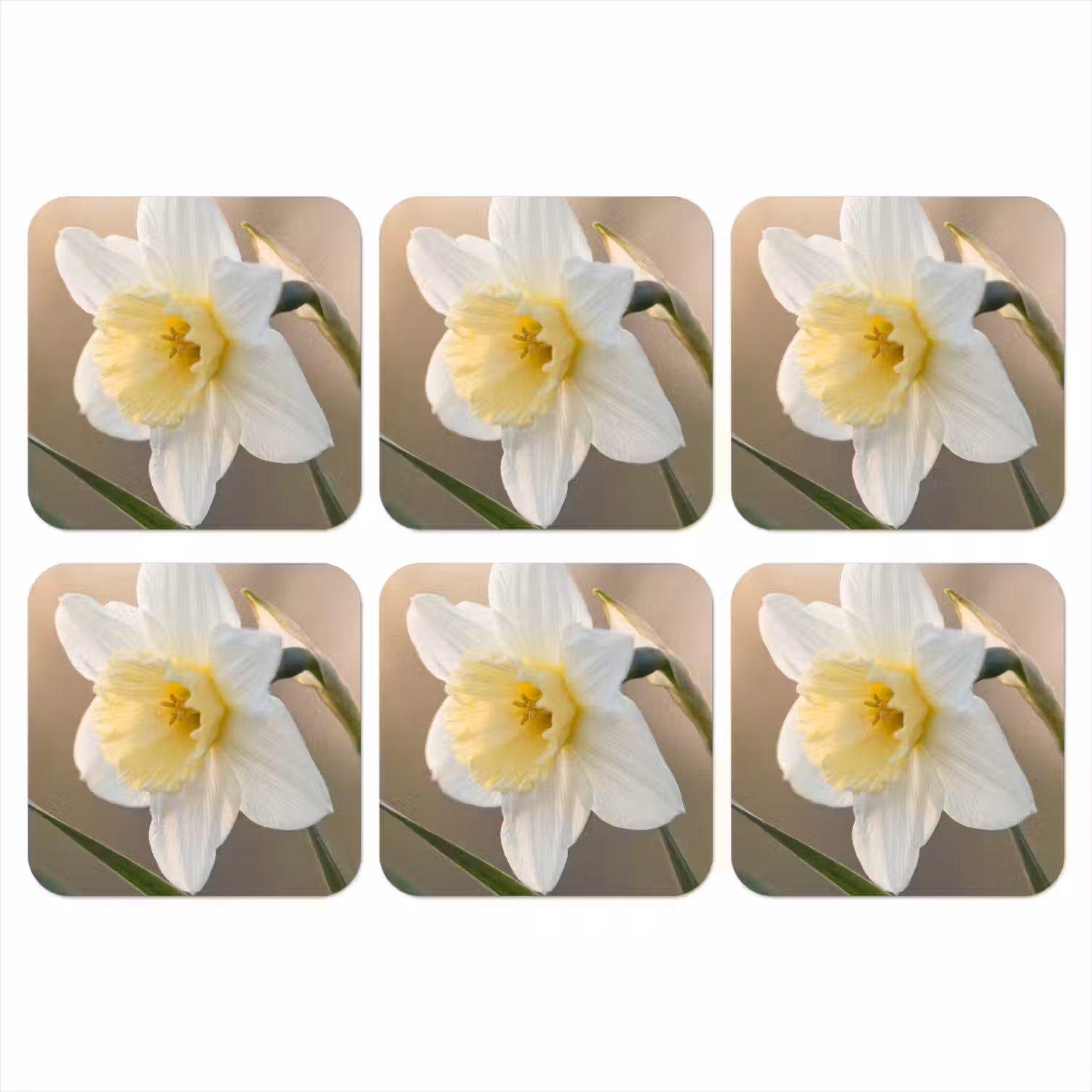 Narcis - Bloem - Minimalistisch onderzetter kurk middel -3d