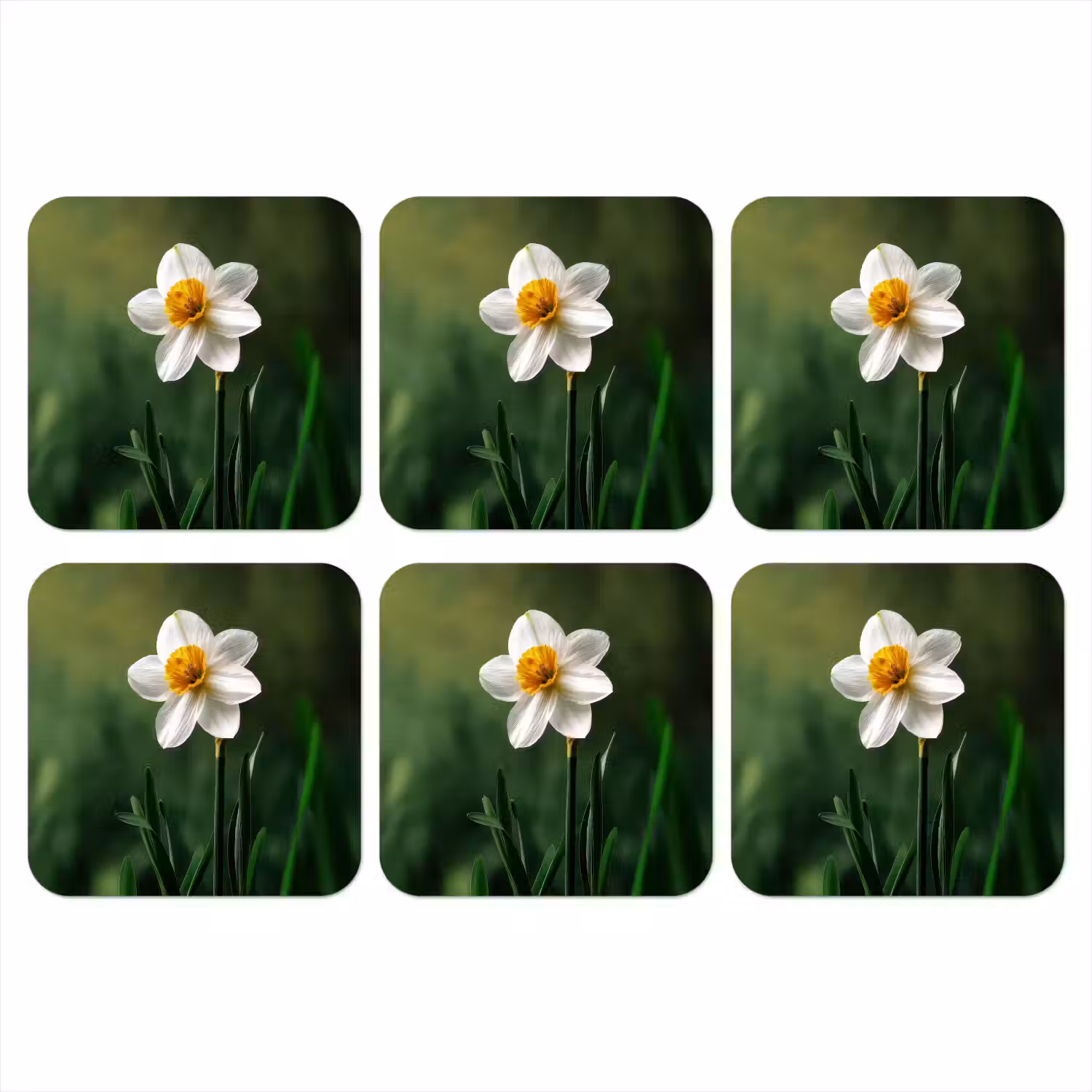 Narcis - Bloem - Wit - Grassprieten onderzetter kurk middel -3d