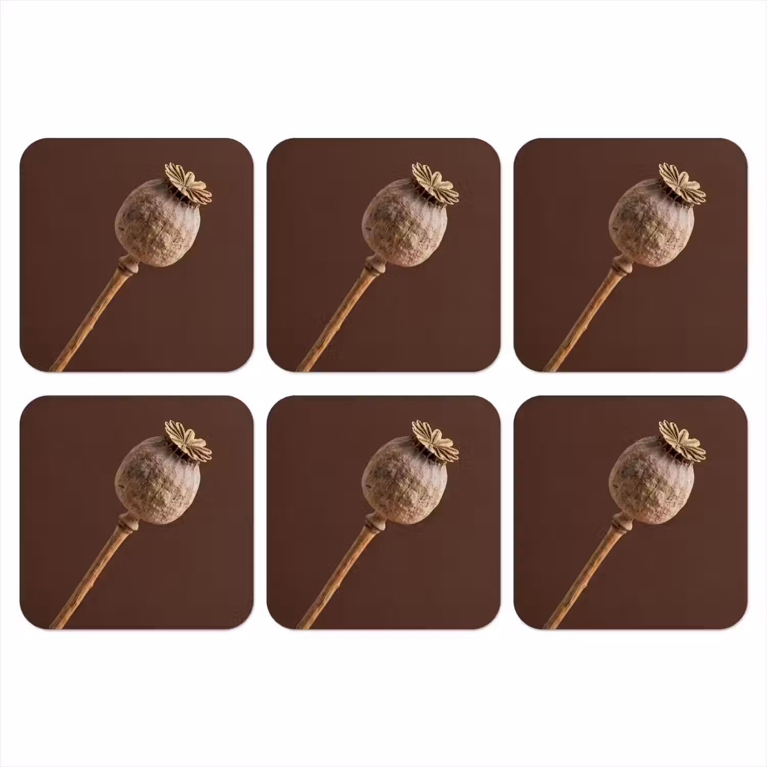 Papaverbol - Droogbloem - Bruin - Minimalistisch onderzetter kurk middel -3d