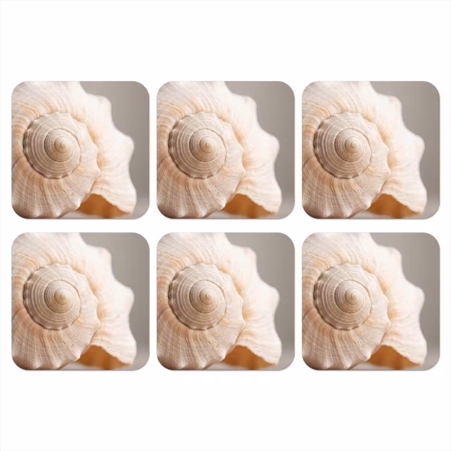 Schelp - Detail - Beige onderzetter kurk middel -3d