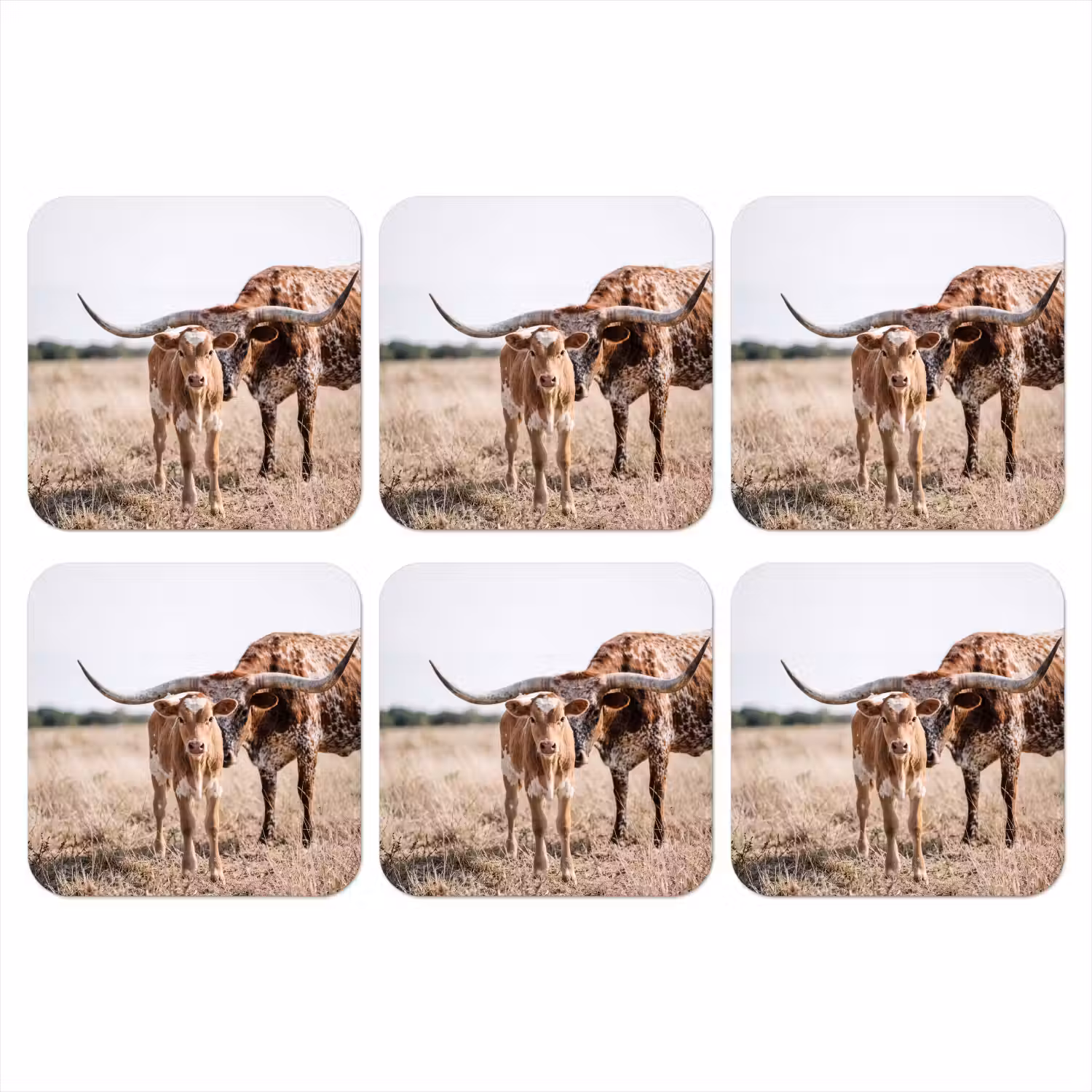 Texas Longhorn - Kalf - Weide - Dieren onderzetter kurk middel -3d
