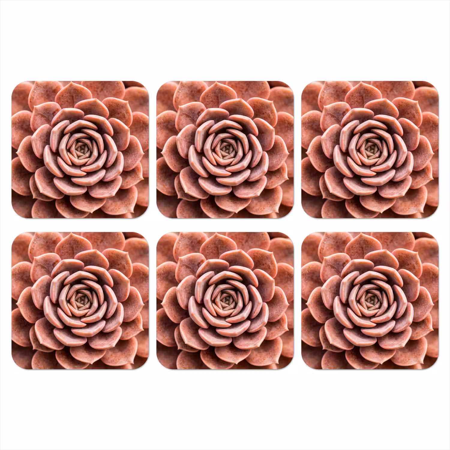 Vetplant - Organisch - Roze onderzetter kurk middel -3d