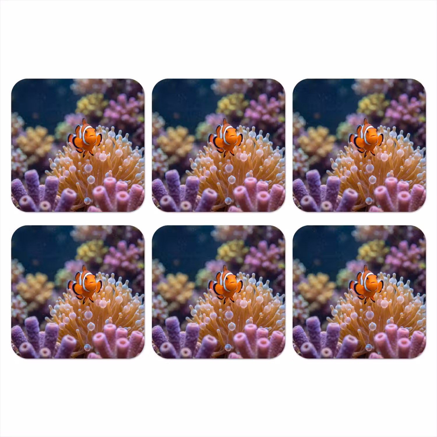 Vis - Koraal - Onderwater - Oranje - Dieren onderzetter kurk middel -3d